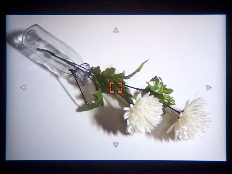 フレキシブルスポットのスポット枠サイズが3段階から選択可能できるようになった。例えばコントラストの強いものが被写体近くにあってピントが目的の部分に合わせにくいような場合に、スポット枠サイズを小さくして厳密なピント合わせができる。小さなことかもしれないが、確実に使いやすさの向上につながる嬉しい機能だ（いずれもEVF内を撮影）。