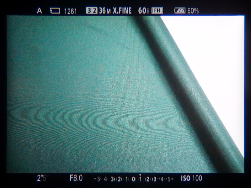 EVF内では写真より顕著にモアレを確認することができたので、撮影時の目安にするとよいかもしれない。