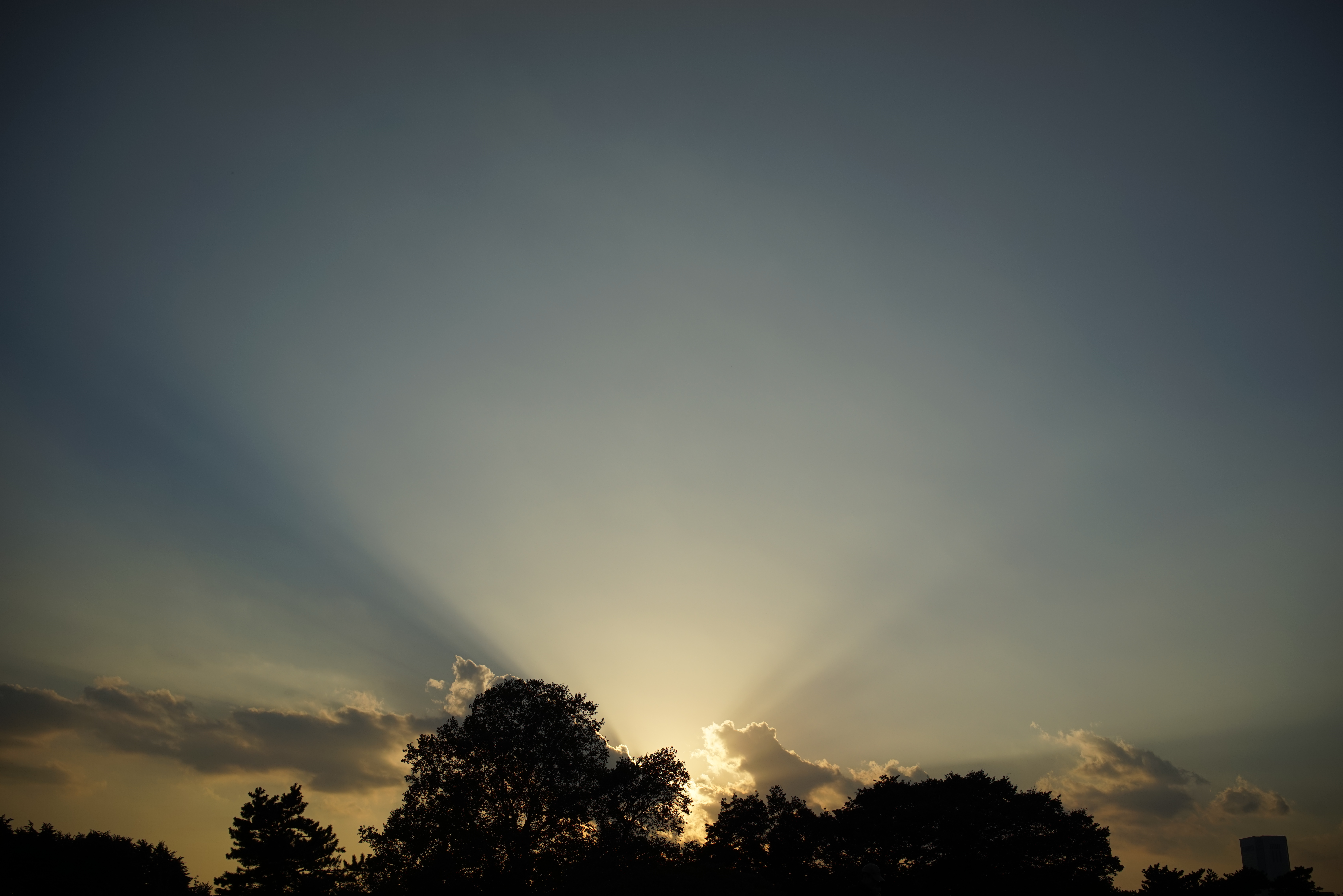 α7R / Sonnar T* FE 35mm F2.8 ZA / 7,360×4,912 / ISO125 / F8 / 1/1,000秒 / 35mm