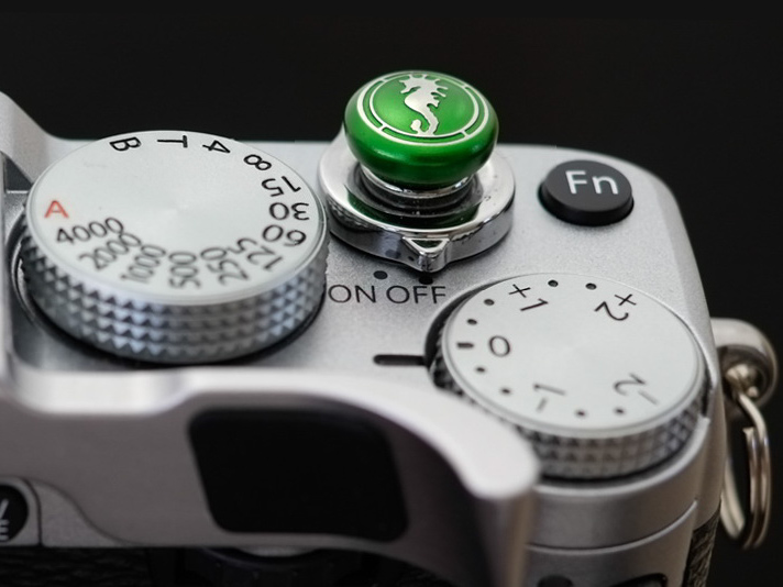 タツノオトシゴ（グリーン）