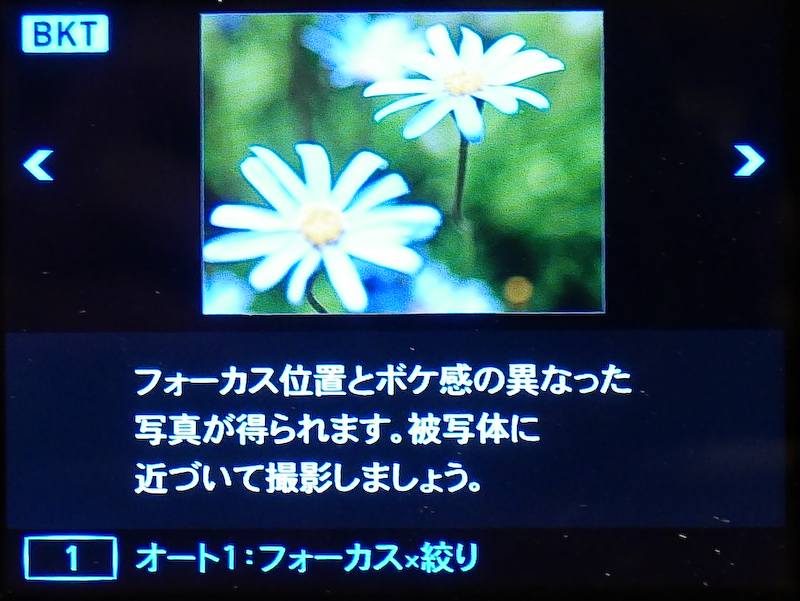 プレミアムブラケティングの「フォーカス×絞り」の撮影例。このように被写界深度の異なる写真が撮れるという。