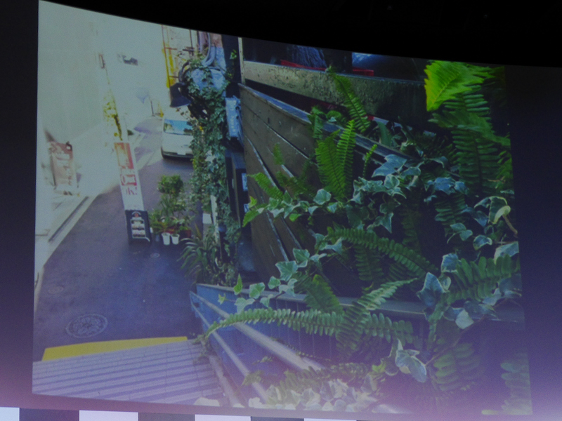 哀川さんの作品。プレミアムブラケティングの9枚の中から選んだ1枚。