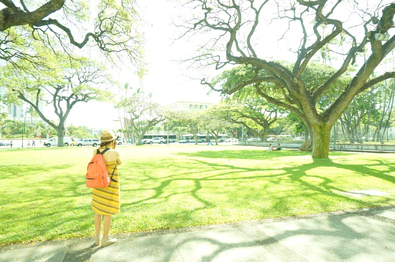 ハワイ州議会議事堂に行き、周囲を撮影しました。山本さんは撮りたいと思ったものを見つけると、立ったり座ったり。自分のイメージにピッタリの1枚を撮るために、アングルやカメラの設定にこだわって何枚も撮り続けていました。