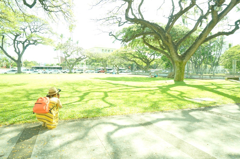 ハワイ州議会議事堂に行き、周囲を撮影しました。山本さんは撮りたいと思ったものを見つけると、立ったり座ったり。自分のイメージにピッタリの1枚を撮るために、アングルやカメラの設定にこだわって何枚も撮り続けていました。