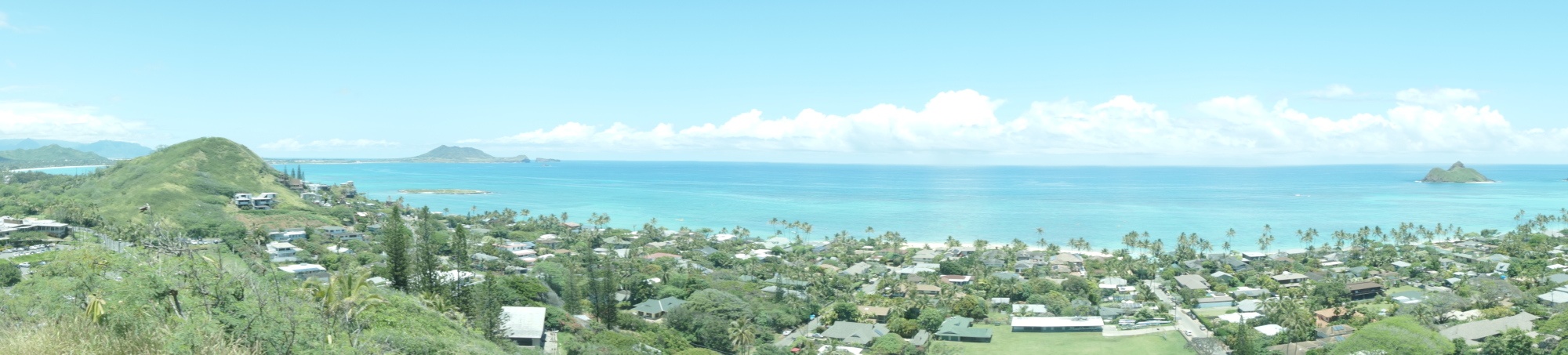 カイヴァリッジの最初10分程度は登りますが、基本は視界が開けた尾根づたいを歩きます。カイルアの高級住宅街とビーチが見ながら、気持ちよいトレイルを楽しむことができました。