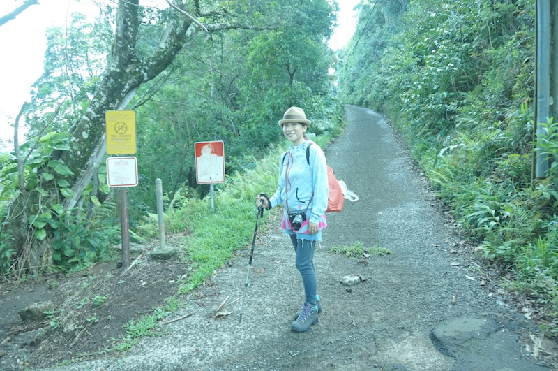 ジャングルツアーは、往復5．2キロ、標高差170mの初心者向けのトレイルコースを歩きます。