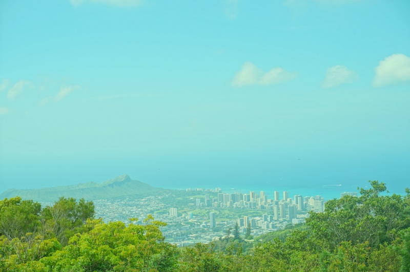 ジャングルツアーの最終地点では、コオラウ山脈全景とホノルルの街並み、青い海を見ることができました。絶景を見ながらいただいたお茶とクッキーの味は絶品!!