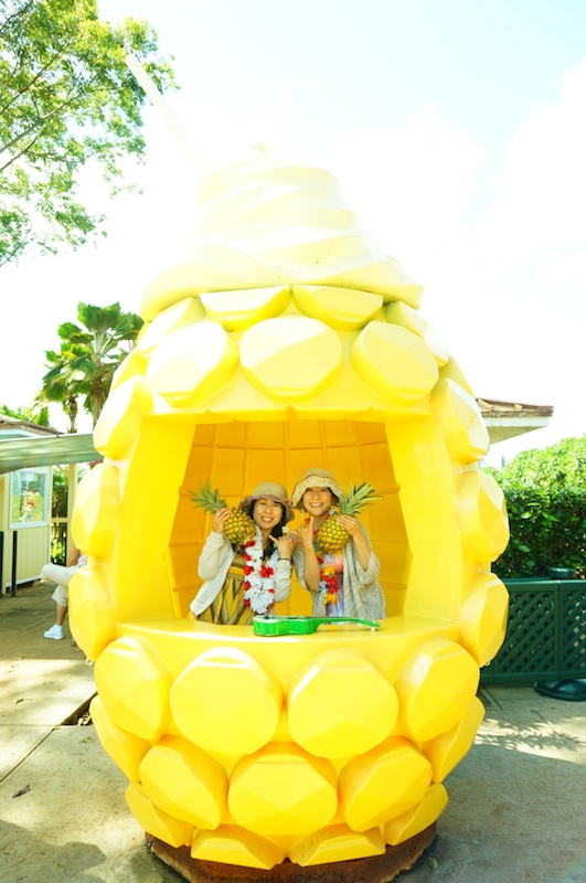 ノースショアに向かう途中、ドールのプランテーションに寄り、パイナップルソフトクリームを食べたり、記念撮影スポットで写真を撮ってもらったり。思う存分にハワイを満喫させていただきました！