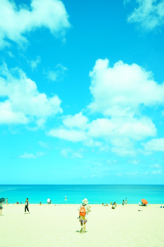 ウミガメで有名なラニアケアビーチでは、残念ながらウミガメは見ることはできませんでした。となりのワイメアビーチパークに移動して、真っ白な砂浜と白波が立つ青い海を満喫しました。