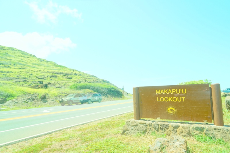 KCCからバスに乗ってマカプウ岬へ。マカプウ岬までの道のりは、基本的に舗装された緩やかな上り坂。片道1.6kmで小さなお子さん連れの人たちもたくさん登っていました。黄色い花が咲いたサボテンや、赤と白の小さな灯台、360度を見渡すことができる展望台など、旅人が絶賛する景色が広がっていました。