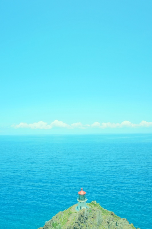 KCCからバスに乗ってマカプウ岬へ。マカプウ岬までの道のりは、基本的に舗装された緩やかな上り坂。片道1.6kmで小さなお子さん連れの人たちもたくさん登っていました。黄色い花が咲いたサボテンや、赤と白の小さな灯台、360度を見渡すことができる展望台など、旅人が絶賛する景色が広がっていました。