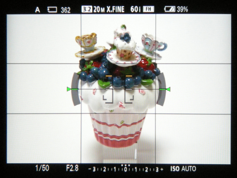 EVF内を撮影。左より情報表示なし、ヒストグラム、水準器となる。なお、格子線はデフォルトの設定では表示されない。