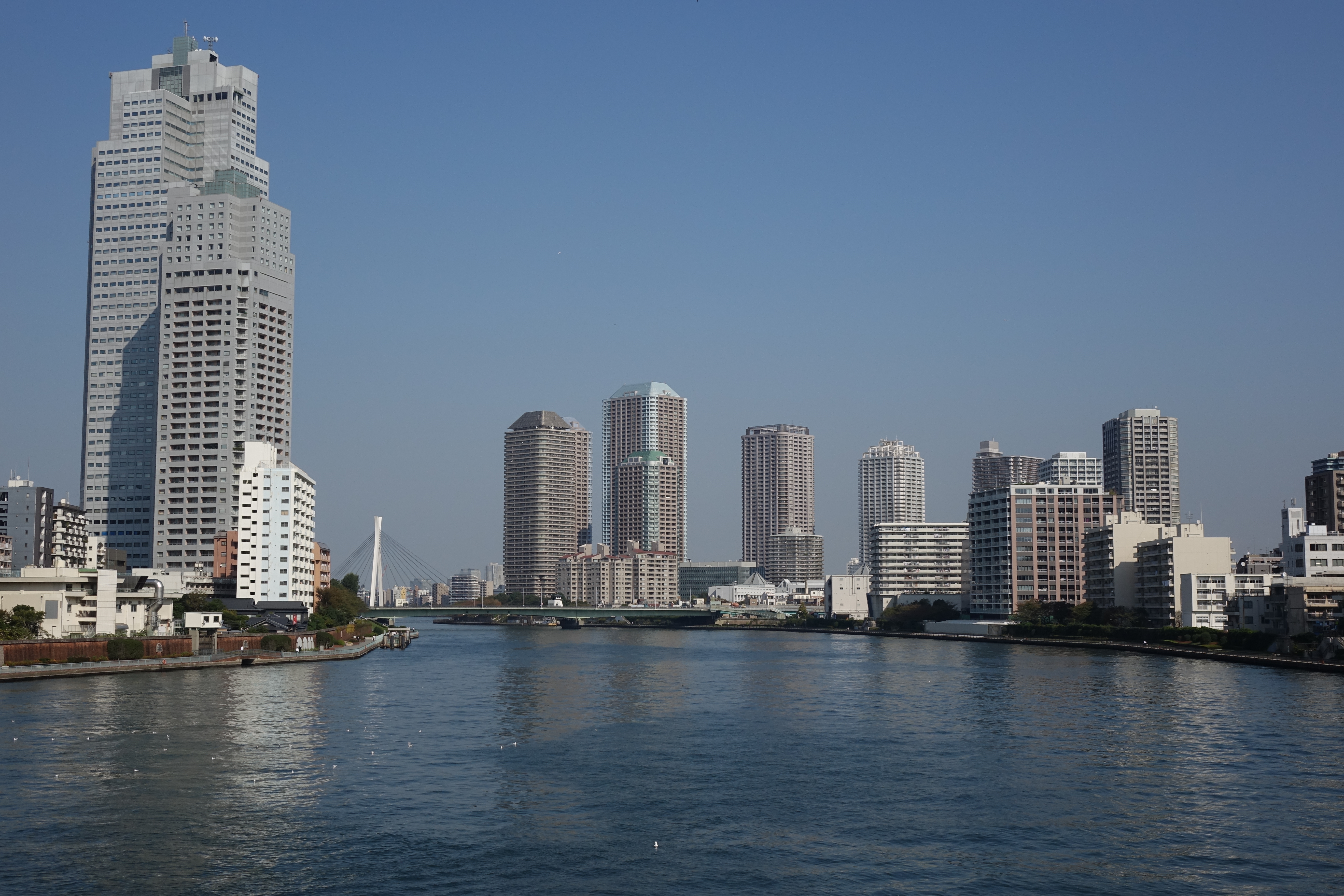 DSC-RX10 / 5,472×3,648 / ISO125 / F8 / 1/500秒 / 16.8mm（46mm相当）