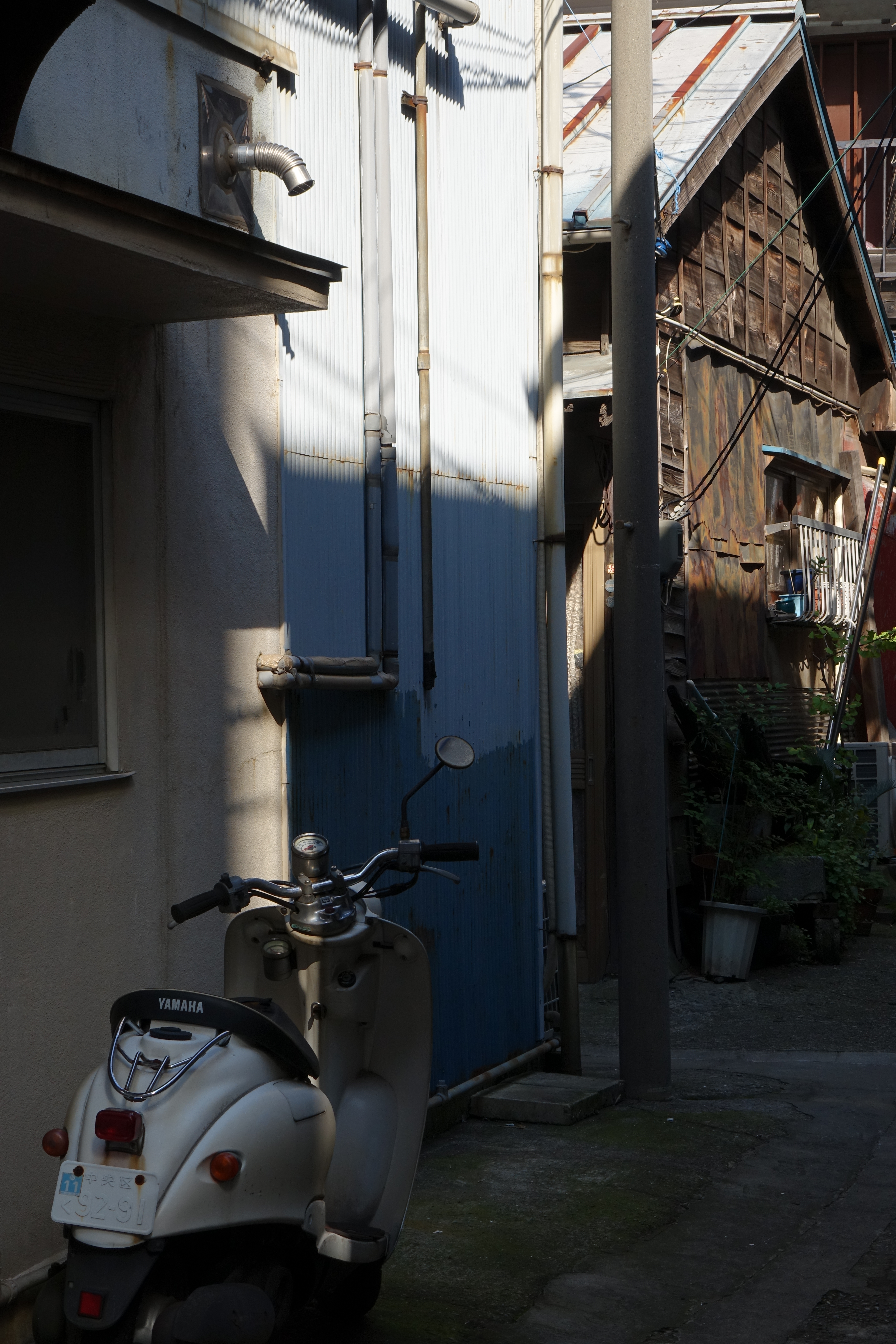 DSC-RX10 / 3,648×5,472 / ISO125 / F8 / 1/125秒 / 29.8mm（81mm相当）