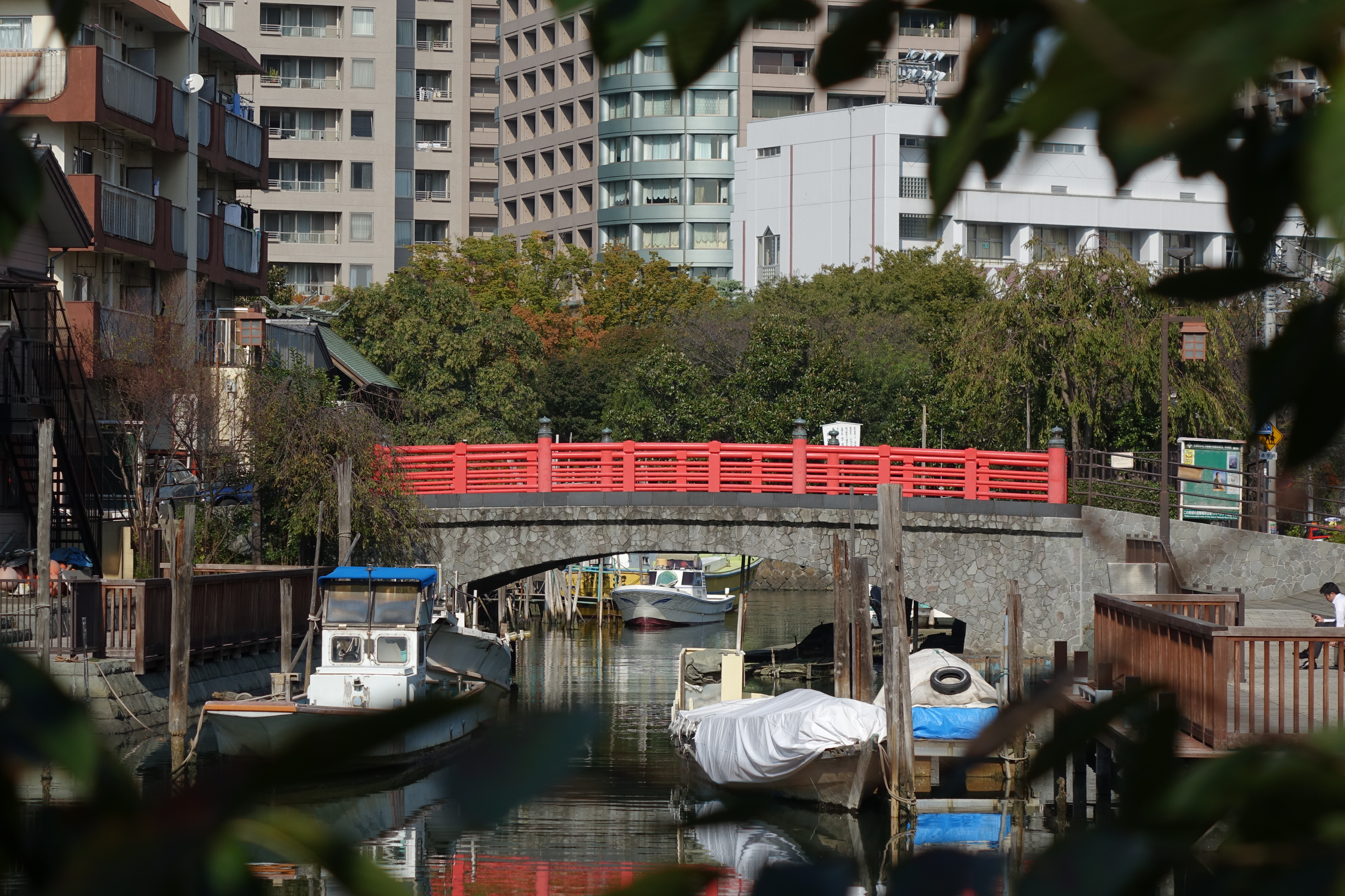 DSC-RX10 / 5,472×3,648 / ISO125 / F4 / 1/1,250秒 / 44.5mm（121mm相当）