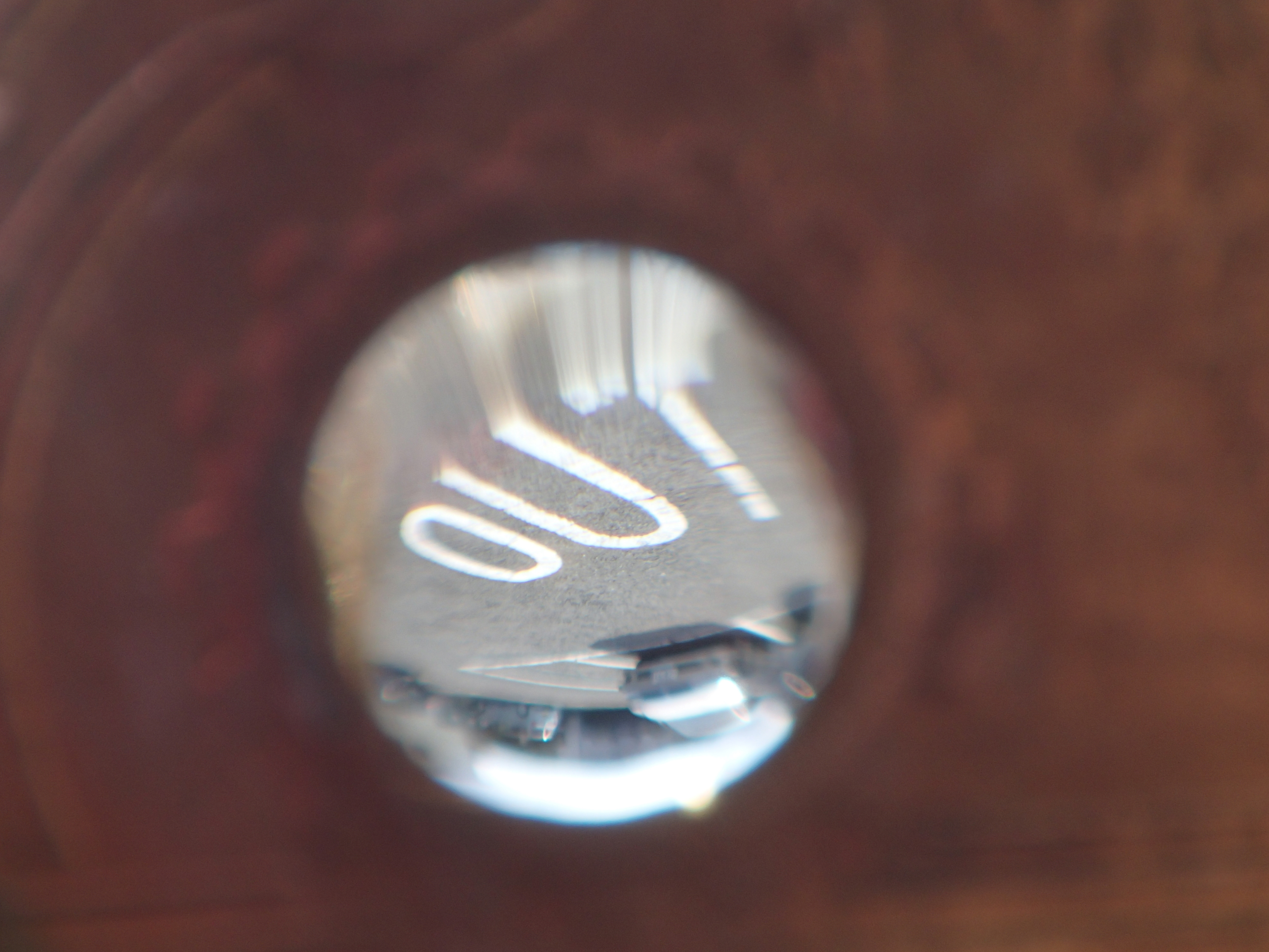 同じ場所で、TG-2をスーパーマクロモードのまま最望遠にして撮影するとこうなる。直径5mmの水滴を拡大撮影しているわけで、ここまで強力なマクロ機能を備えたデジカメはそう無いと言えるだろう。なお、見やすいように上下逆さまの加工のみ行なっている（以下同じ）。