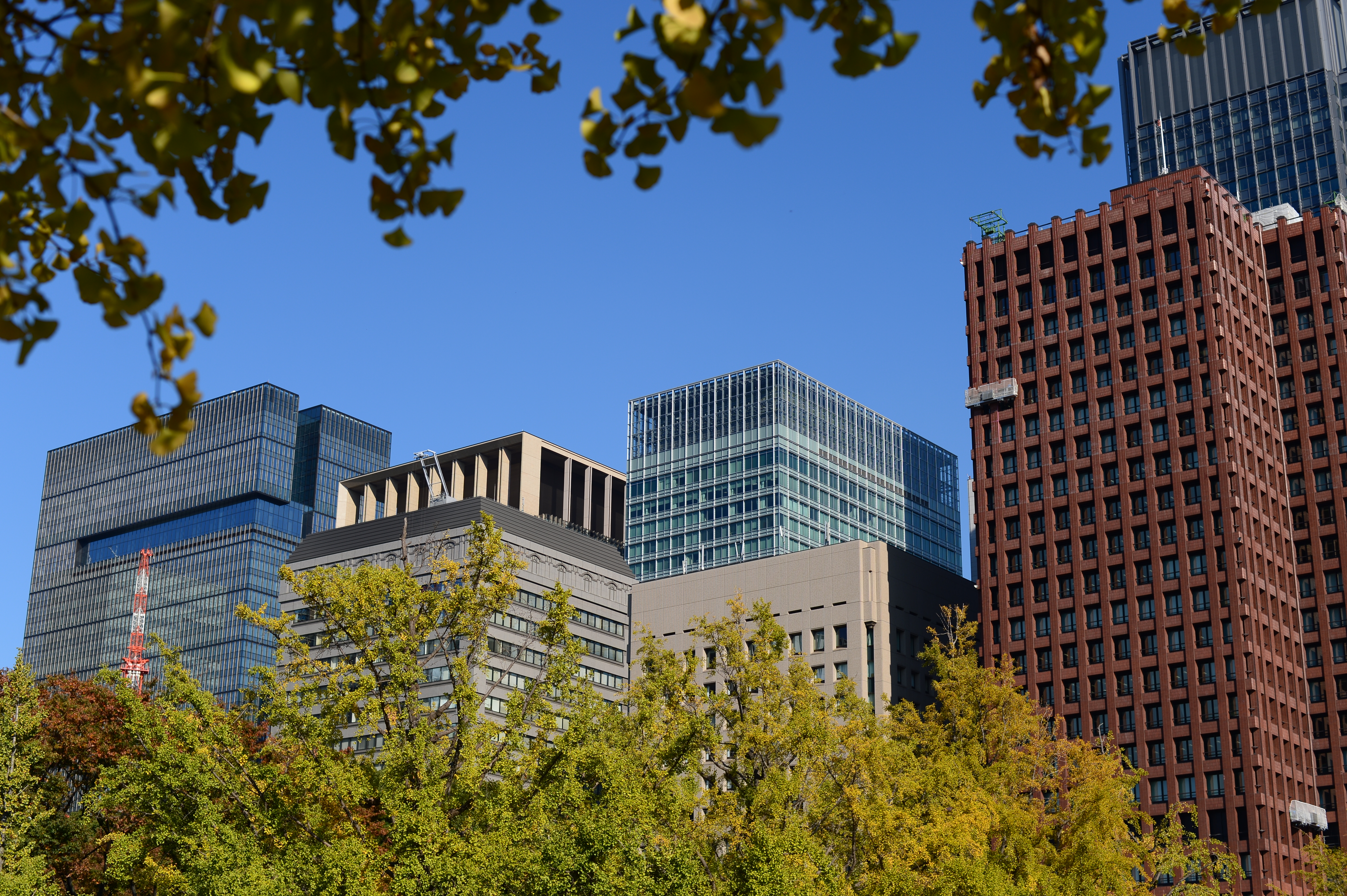 Df / AF-S NIKKOR 50mm F1.8 G / ISO100 / F5.6 / 1/800秒