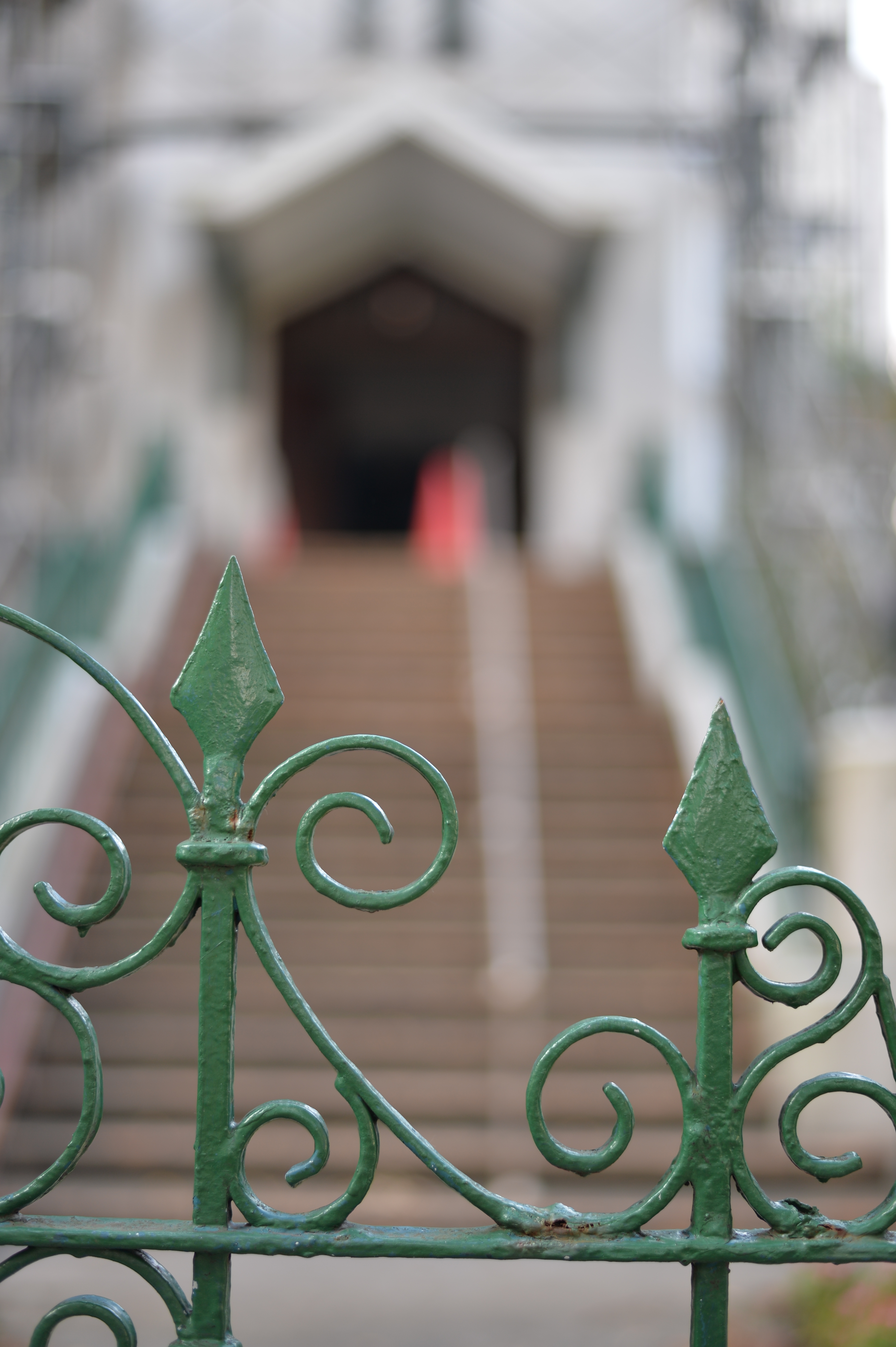 Df / AF-S NIKKOR 50mm F1.8 G / ISO100 / F1.8 / 1/160秒