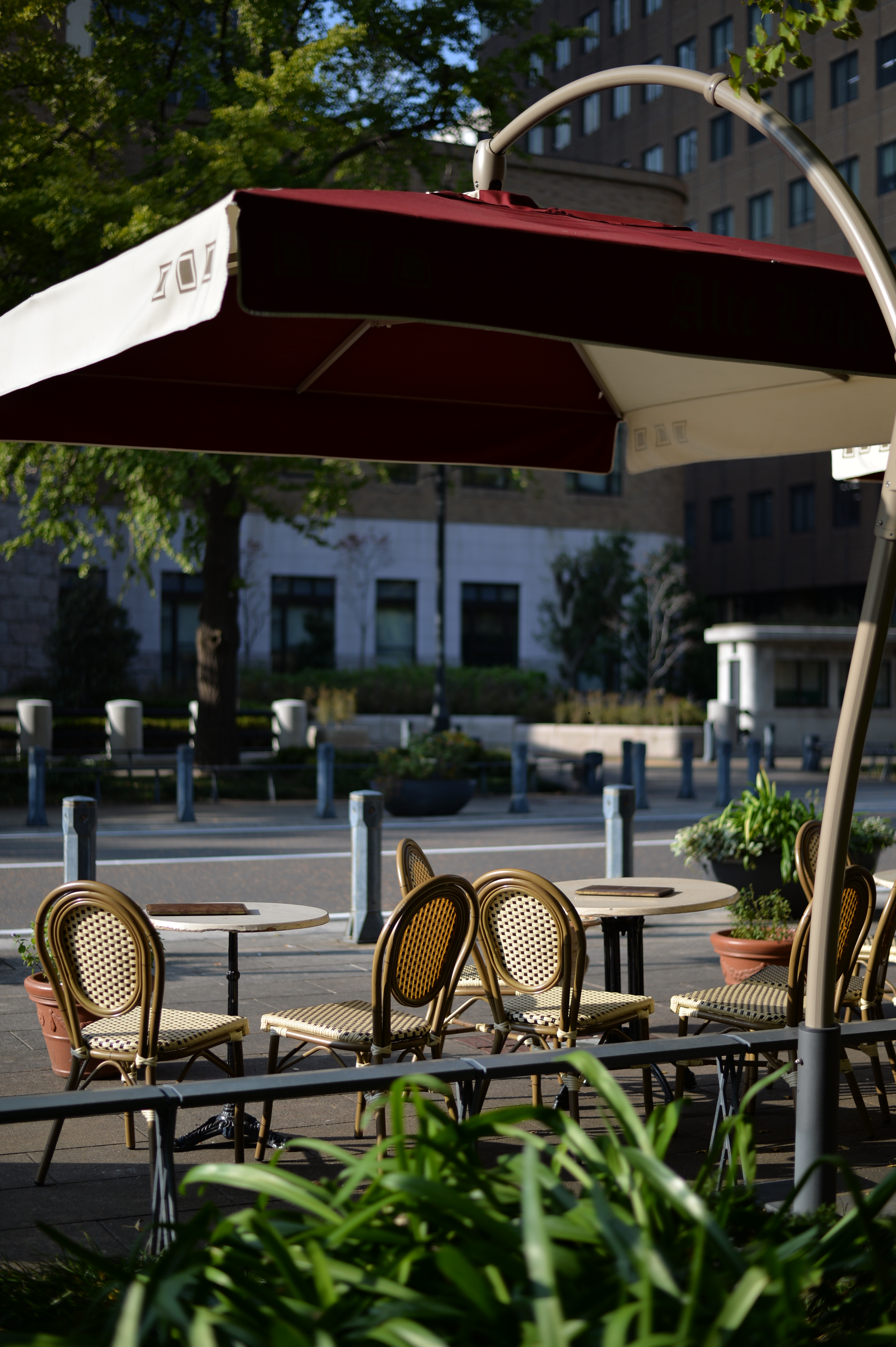 Df / AF-S NIKKOR 50mm F1.8 G / ISO100 / F1.8 / 1/3,200秒