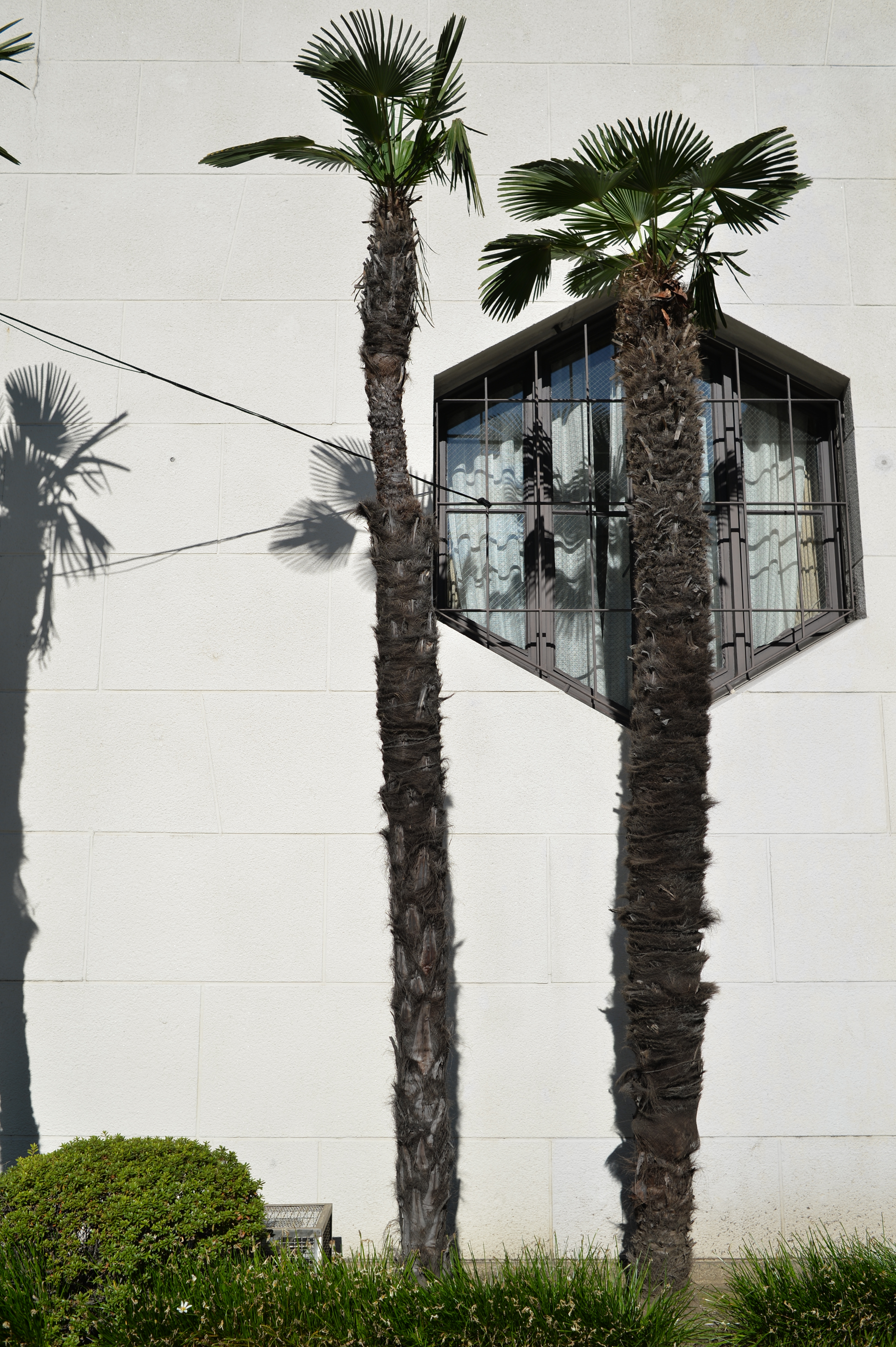 Df / Ai NIKKOR 35mm F2.8 / ISO100 / F5.6 / 1/800秒