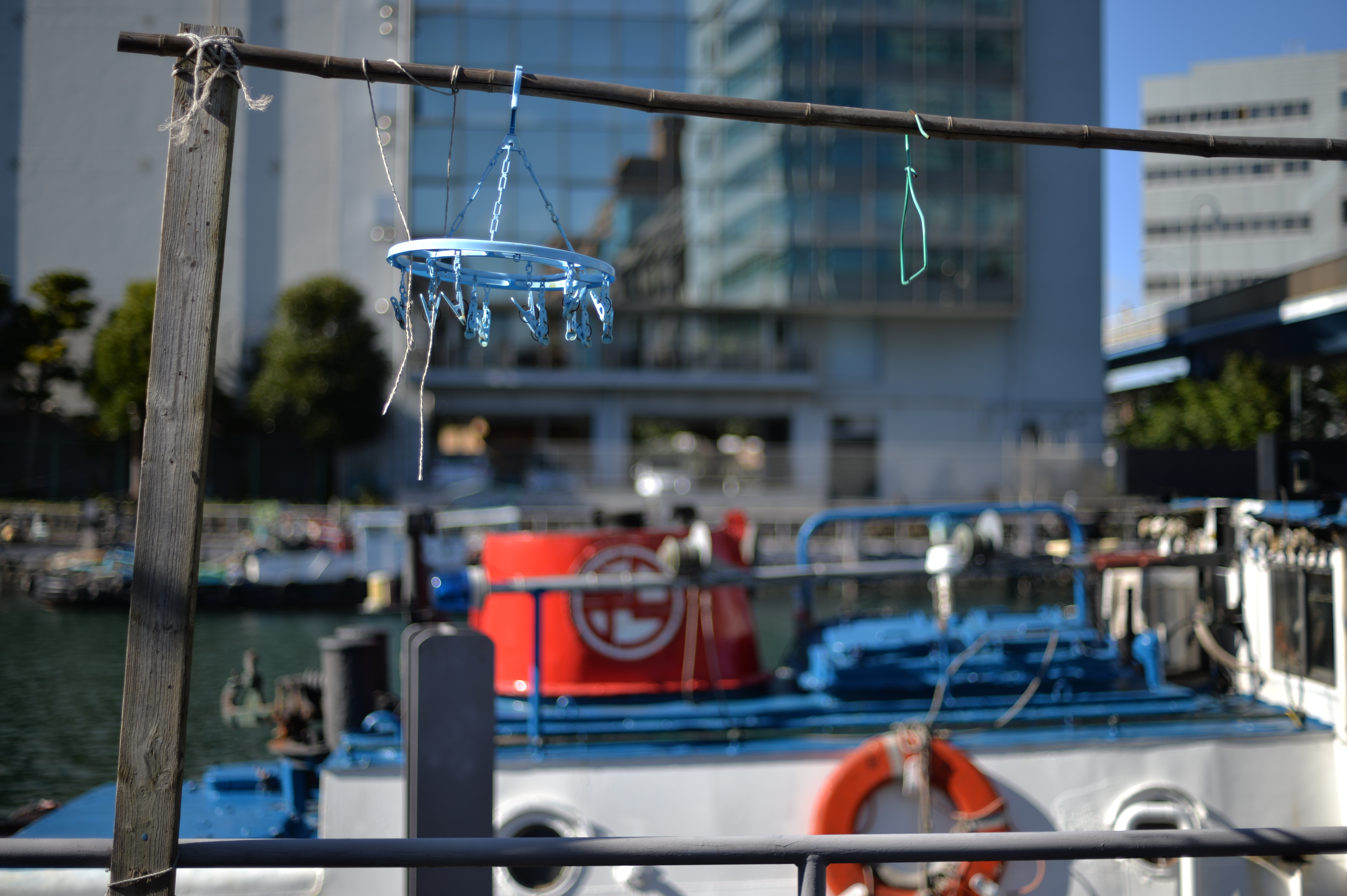 Df / Ai NIKKOR 50mm F1.8 / L1（ISO50相当） / F1.8 / 1/2,000秒