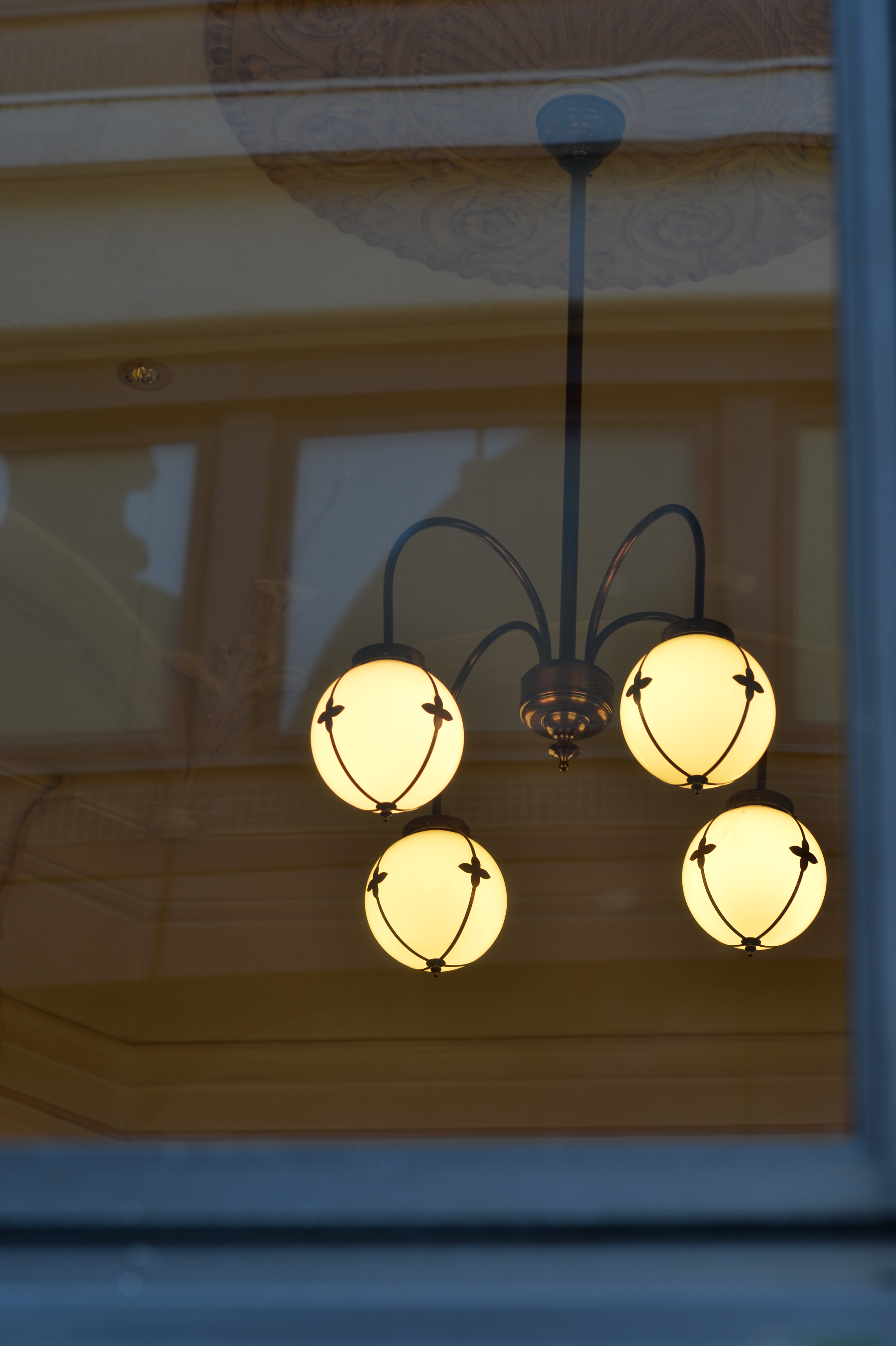 Df / Ai NIKKOR 105mm F2.5 / ISO100 / F4 / 1/50秒