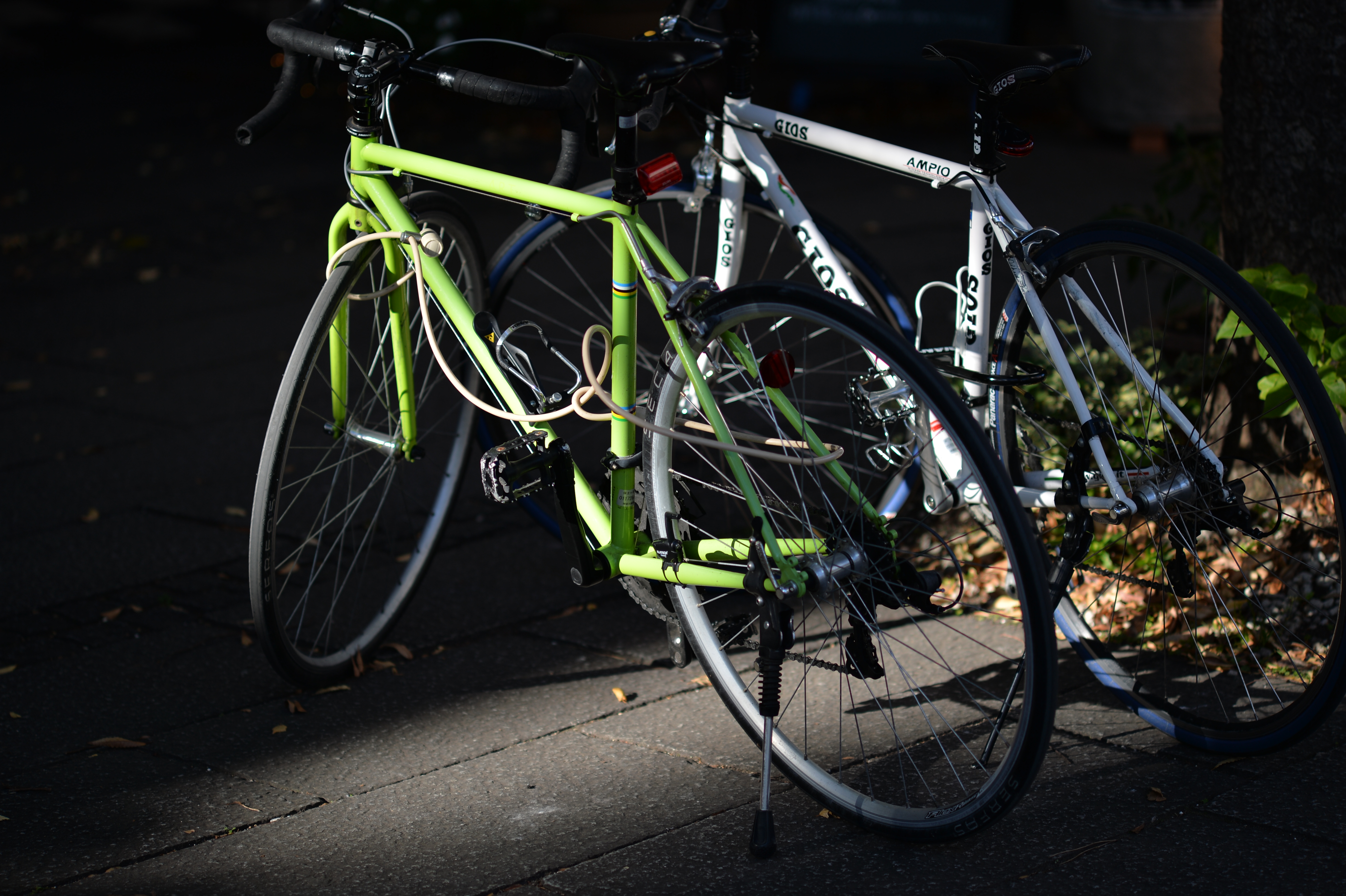 Df / Ai NIKKOR 105mm F2.5 / ISO100 / F2.8 / 1/800秒