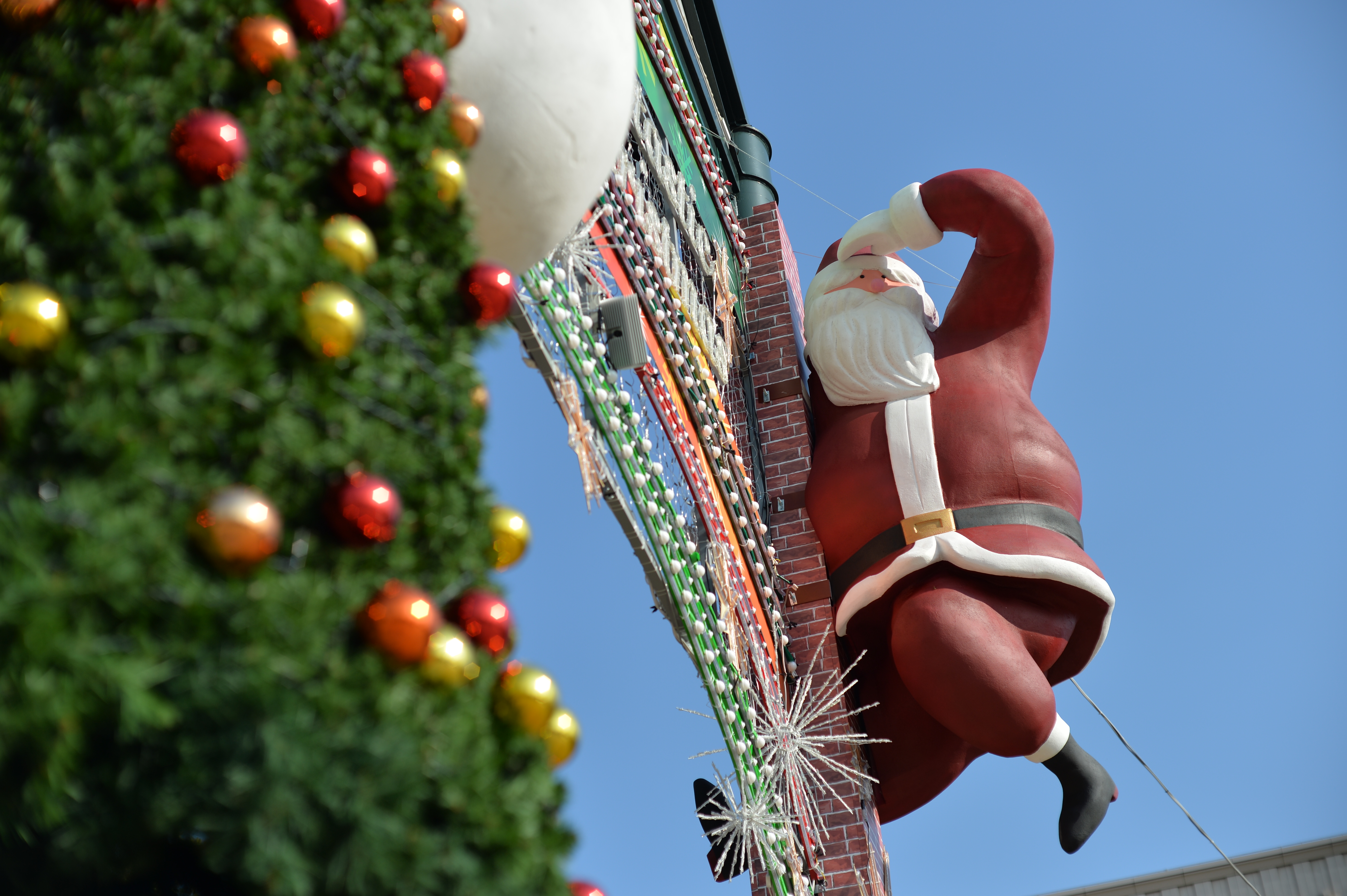 Df / NIKKOR-S AUTO 5.8cm F1.4 / ISO100 / F2.8 / 1/2,000秒