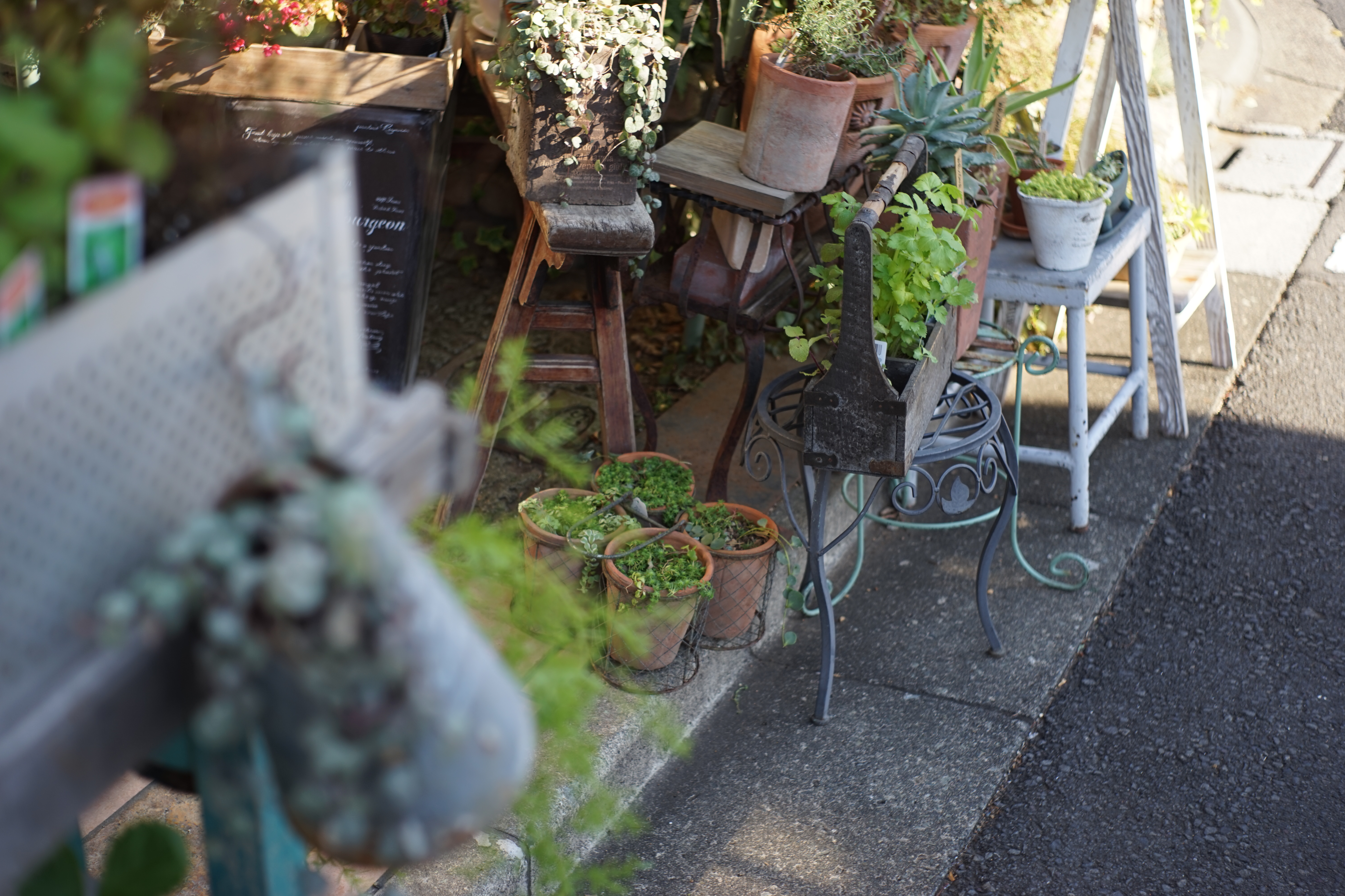 α7 / Tessar 50mm F2.8 / 6,000×4,000 / 1/200秒 / F2.8 / 0EV / ISO100 / WB:オート / 50mm