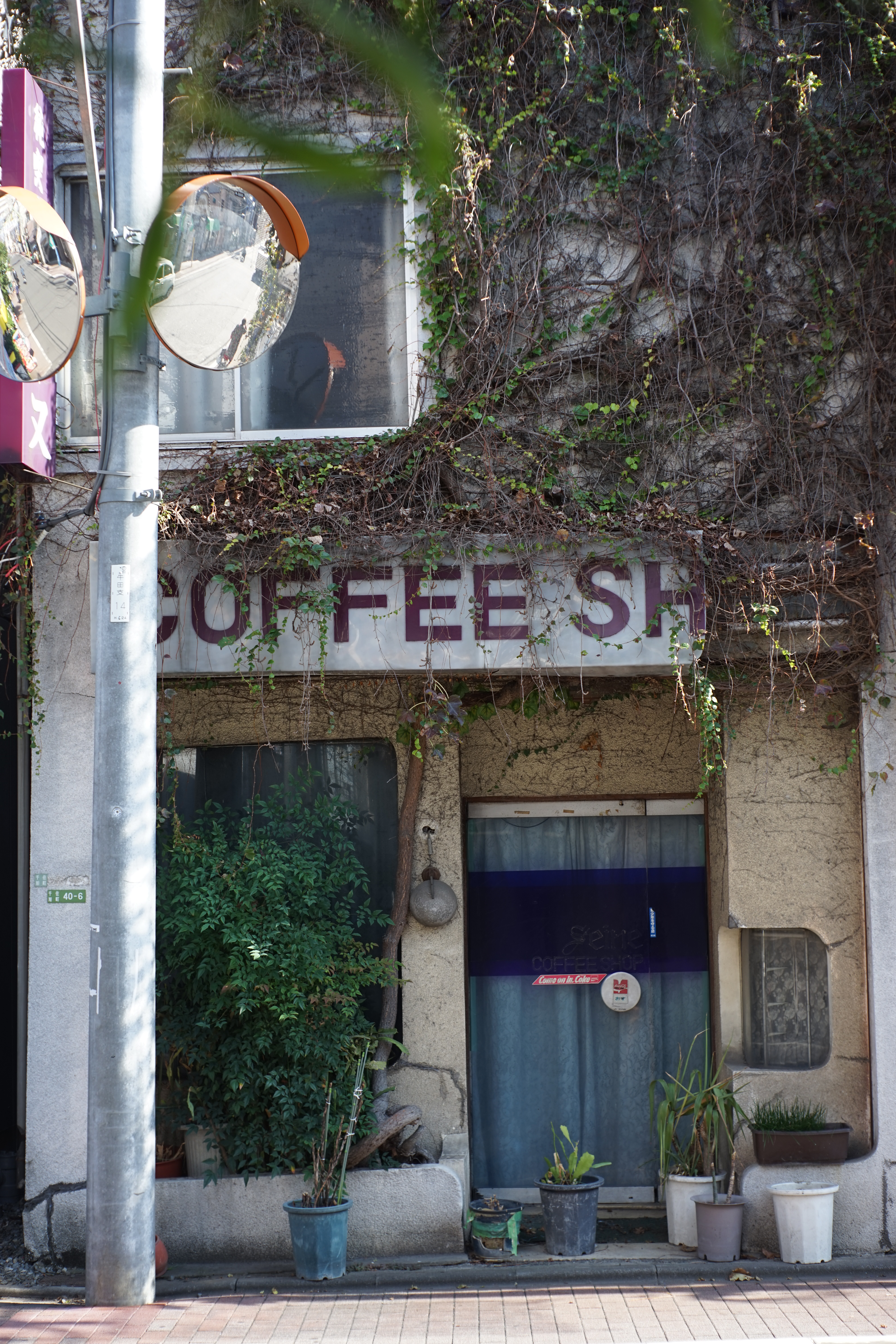 α7 / Tessar 50mm F2.8 / 6,000×4,000 / 1/160秒 / F4 / 0EV / ISO100 / WB:オート / 50mm