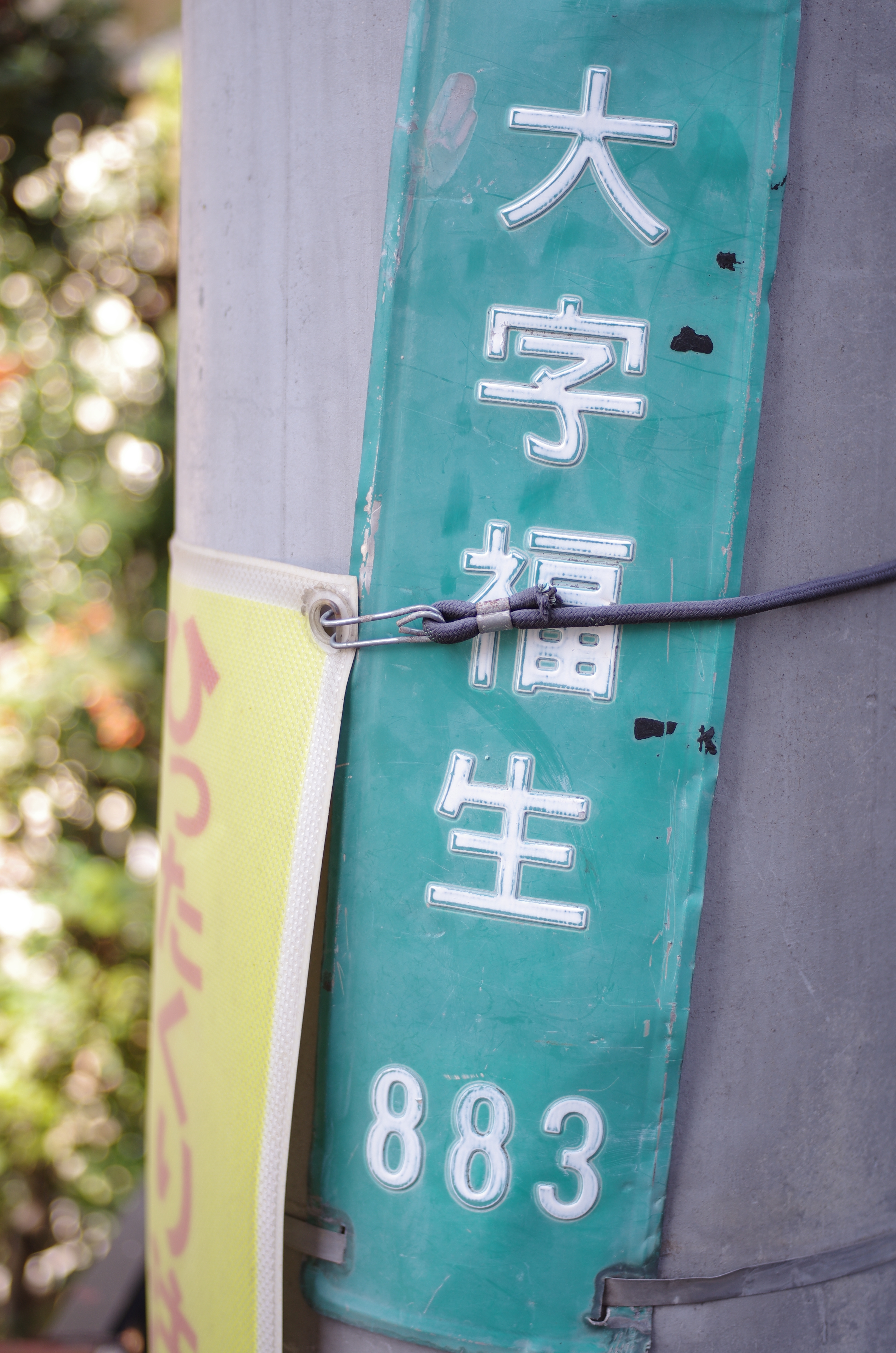 K-5 IIs / 1/200秒 / F2.8 / +1EV / ISO125 / 絞り優先AE / WB：オート / 40mm