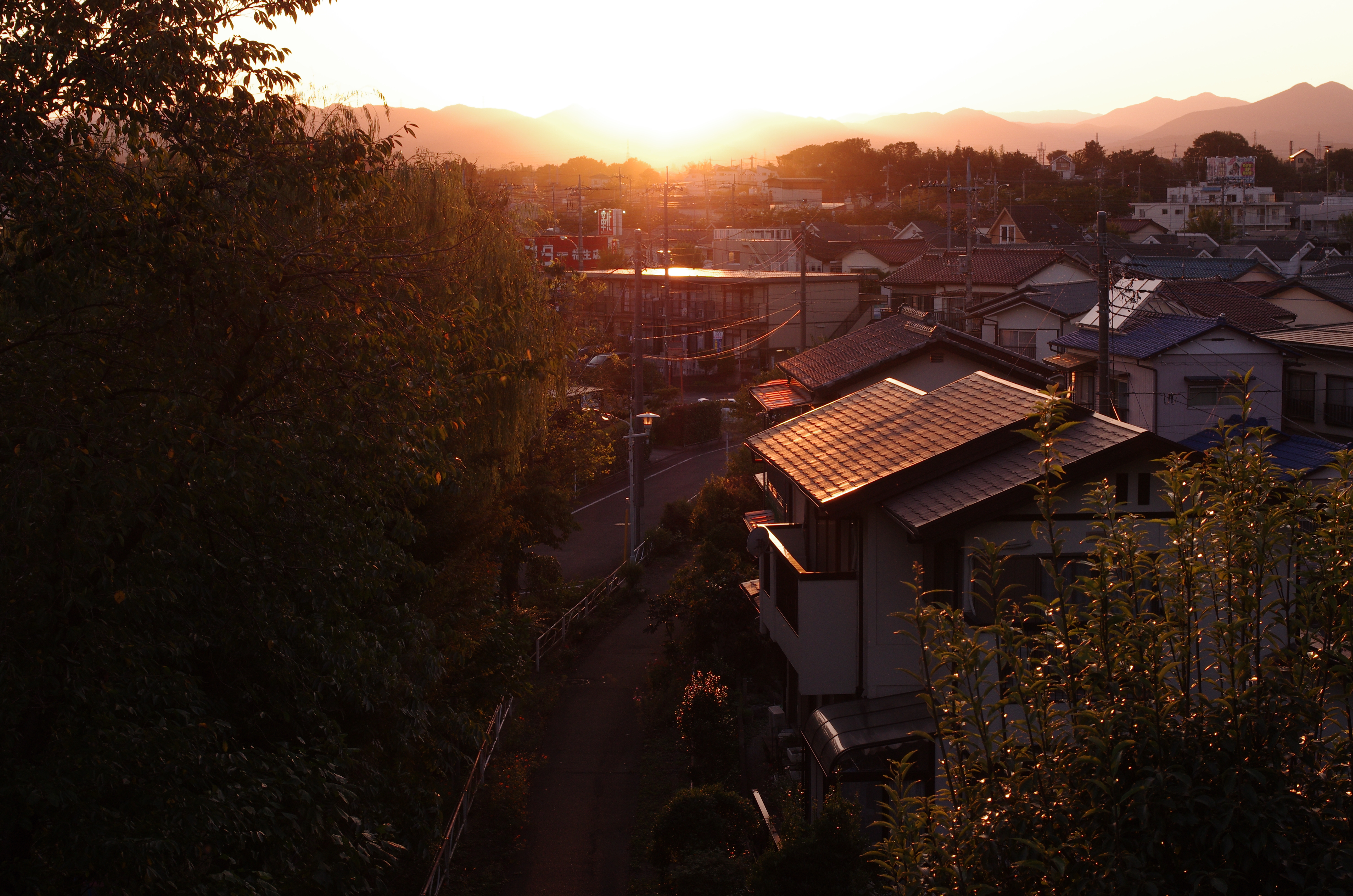 K-5 IIs / 1/200秒 / F8 / +2.3EV / ISO400 / 絞り優先AE / WB：CTE / 40mm