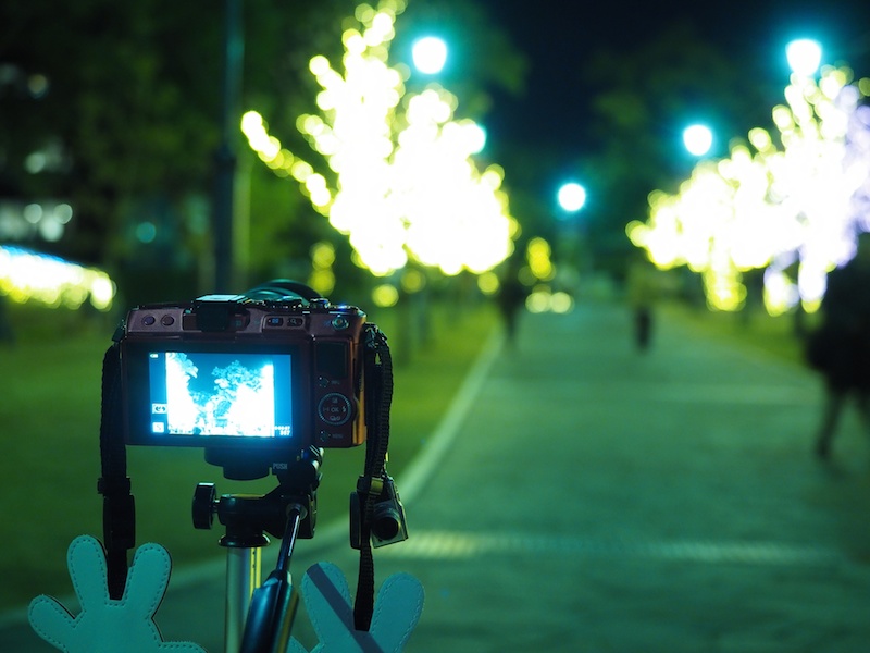 ホワイトバランスをオートから電球に設定して、クールな印象で撮影してみました。