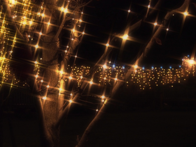 撮影者：tomokomokoさん「夜景は手ぶれが課題だったのですが、やはり難しかったです。マニュアルフォーカス、シャッタースピードの設定、アートフィルター機能の使い方等は大変勉強になりました。これからイルミネーションがきれいな季節なので、たくさん練習してコツをつかみたいです」