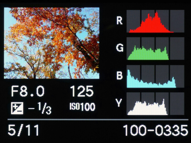 画像再生中に前ダイヤルを右側に回していくと、1倍→2倍→4倍→8倍→16倍と、拡大倍率が変わる。そして、前ダイヤルを押し込むと“画像送り操作”に切り換わる。この状態で左右のカーソルボタンを操作すれば、拡大倍率と拡大部分を維持したまま表示画像を切り換えることができるのだ。