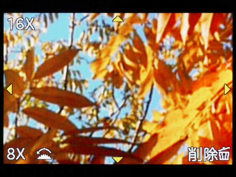 画像再生中に前ダイヤルを右側に回していくと、1倍→2倍→4倍→8倍→16倍と、拡大倍率が変わる。そして、前ダイヤルを押し込むと“画像送り操作”に切り換わる。この状態で左右のカーソルボタンを操作すれば、拡大倍率と拡大部分を維持したまま表示画像を切り換えることができるのだ。