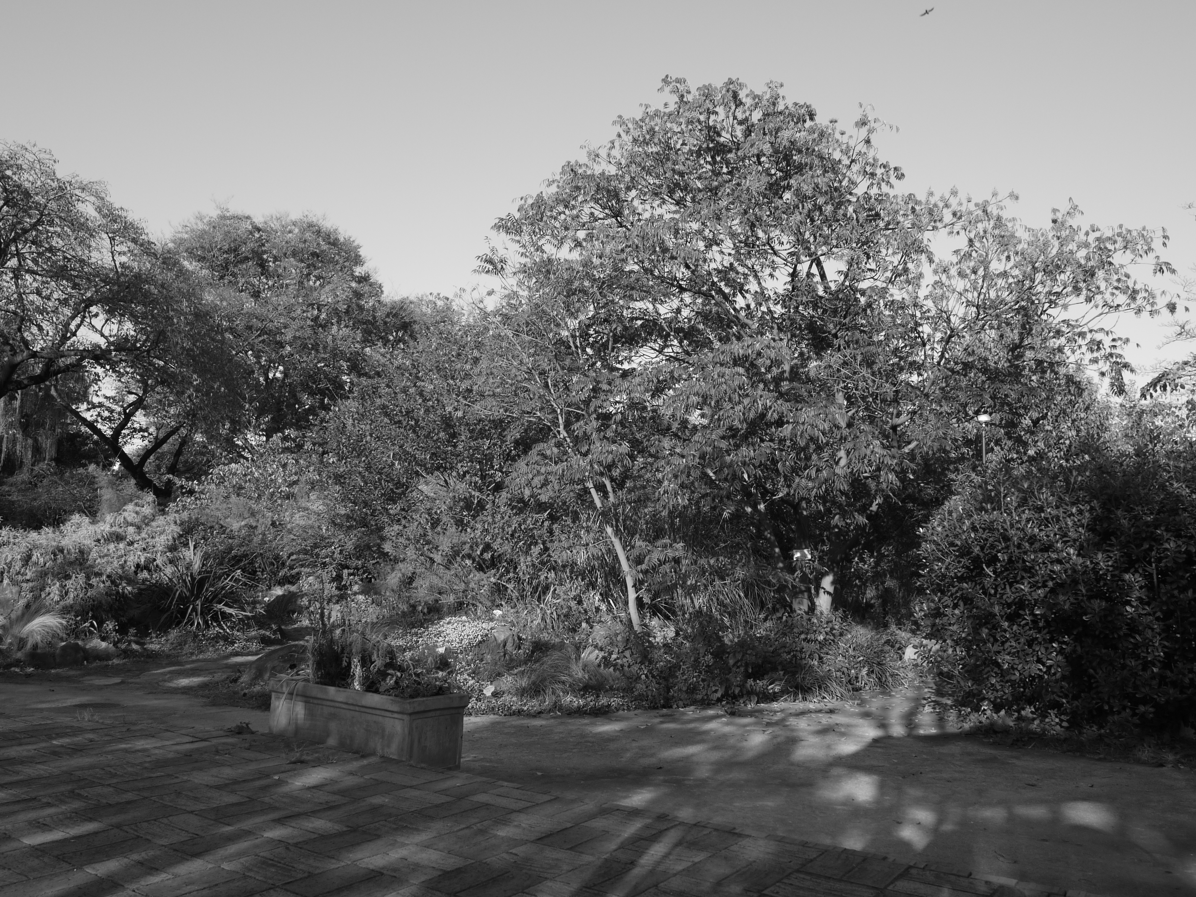 スタンダードB&amp;W