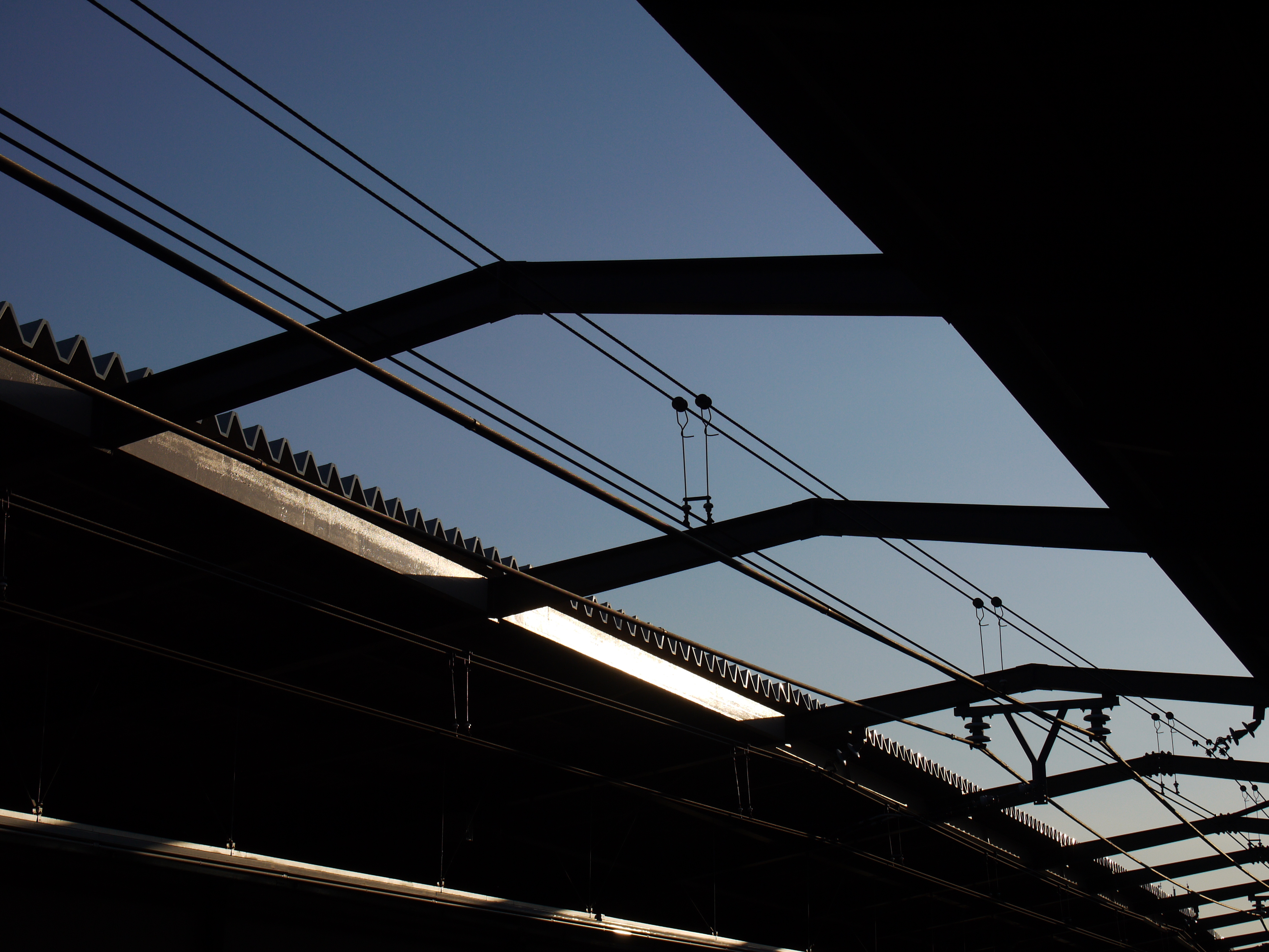 DMC-G1 / M.ZUIKO DIGITAL 14-42mm F3.5-5.6 II R / 4,000×3,000 / ISO100 / F8 / 1/1,000秒 / 31mm（62mm相当）