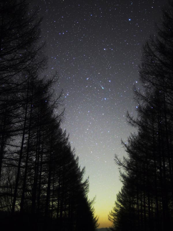 筆者が撮影したラブジョイ彗星。2013年12月5日朝撮影 / OLYMPUS OM-D E-M5 / LEICA DG SUMMILUX 25mm F1.4 / F1.4 30秒 ISO1600 追尾撮影