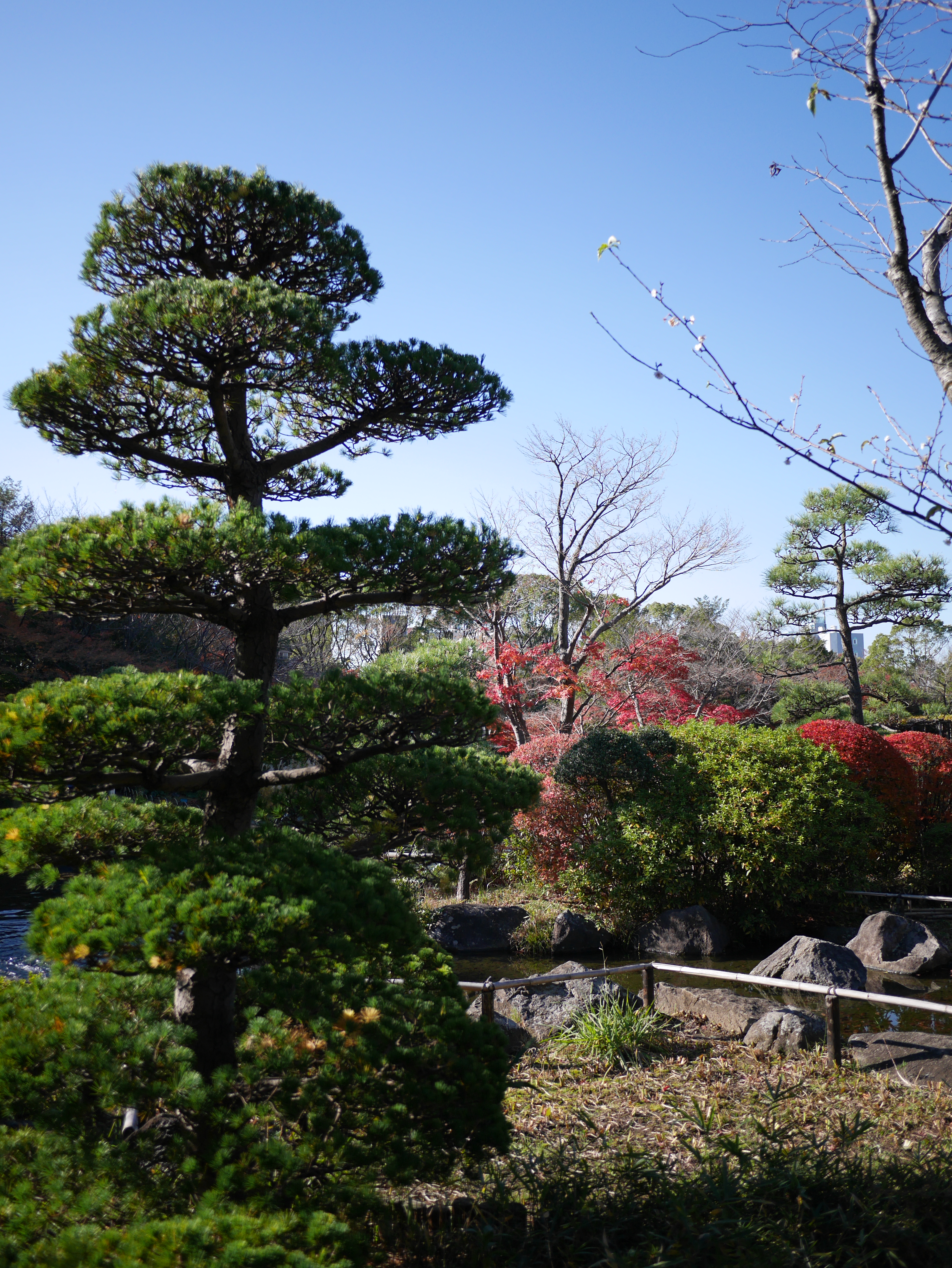 DMC-GM1 / LUMIX G 14mm F2.5 ASPH. / 3,448×4,592 / ISO200 / F2.5 / 1/1,600秒 / 14mm（28mm相当）