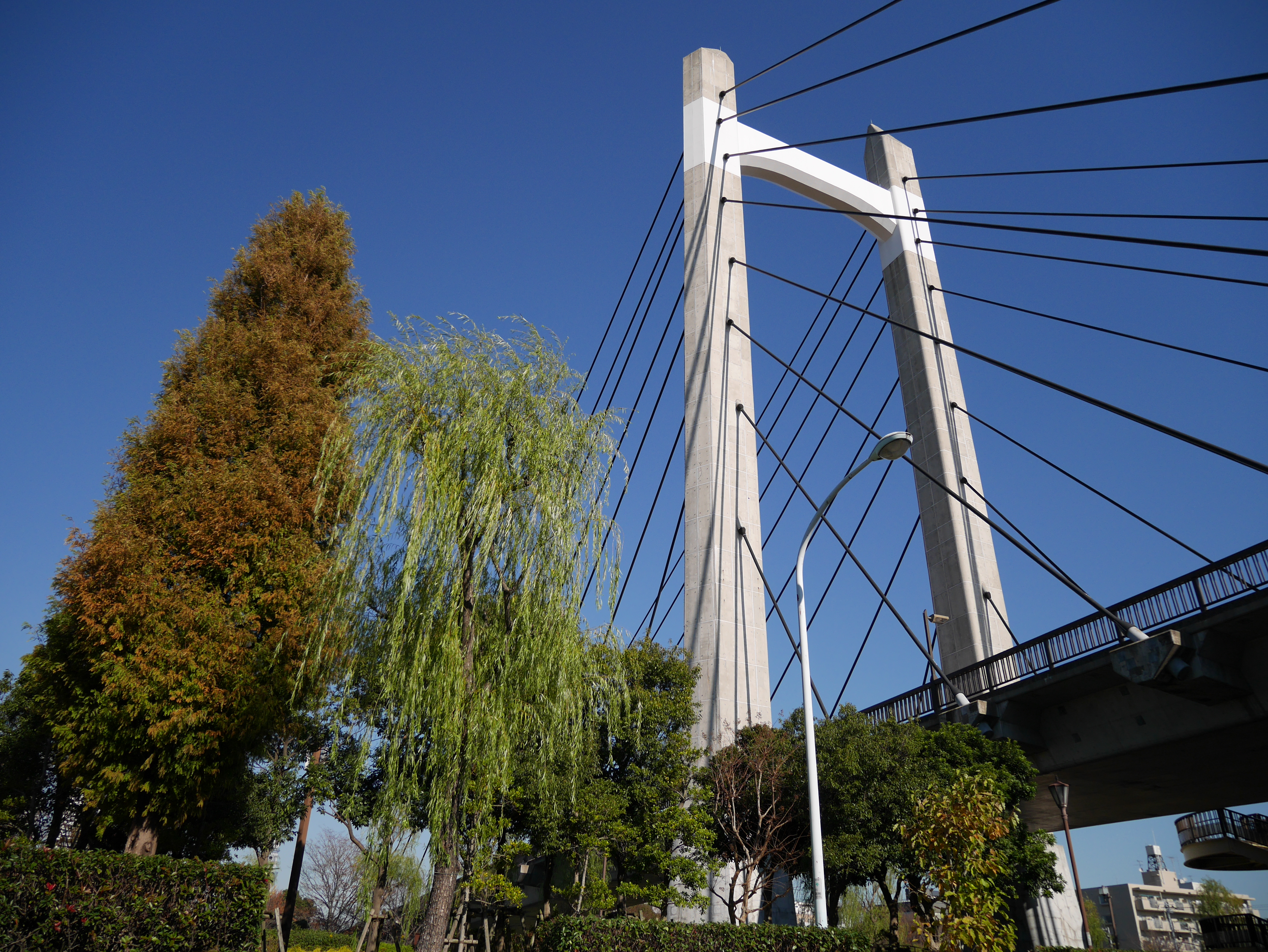 DMC-GM1 / LUMIX G VARIO 12-32mm F3.5-5.6 ASPH. MEGA O.I.S / 4,592×3,448 / ISO200 / F3.5 / 1/2,500秒 / 12mm（24mm相当）