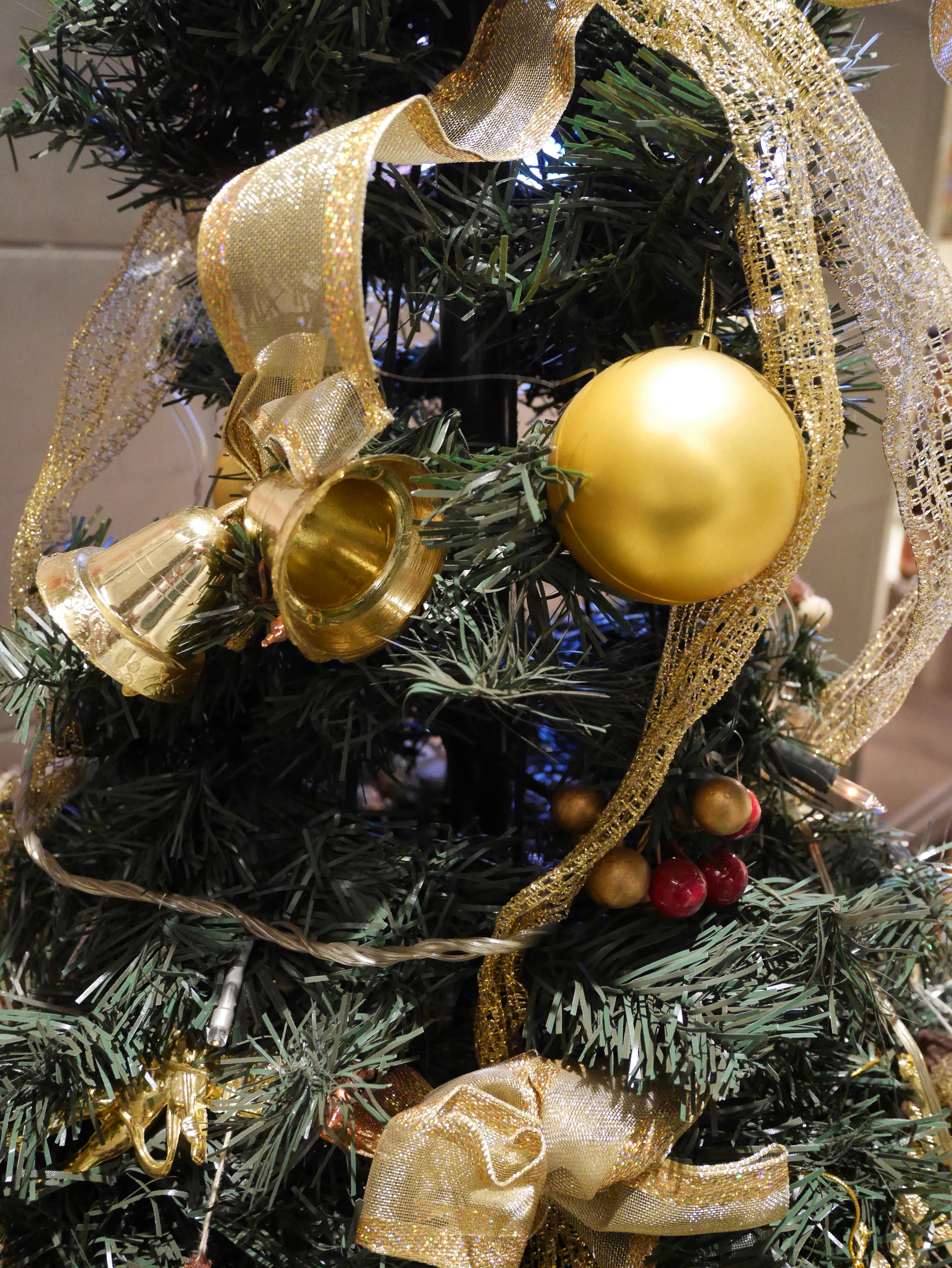 DMC-GM1 / LUMIX G VARIO 12-32mm F3.5-5.6 ASPH. MEGA O.I.S / 3,448×4,592 / ISO3200 / F3.7 / 1/30秒 / 15mm（30mm相当）