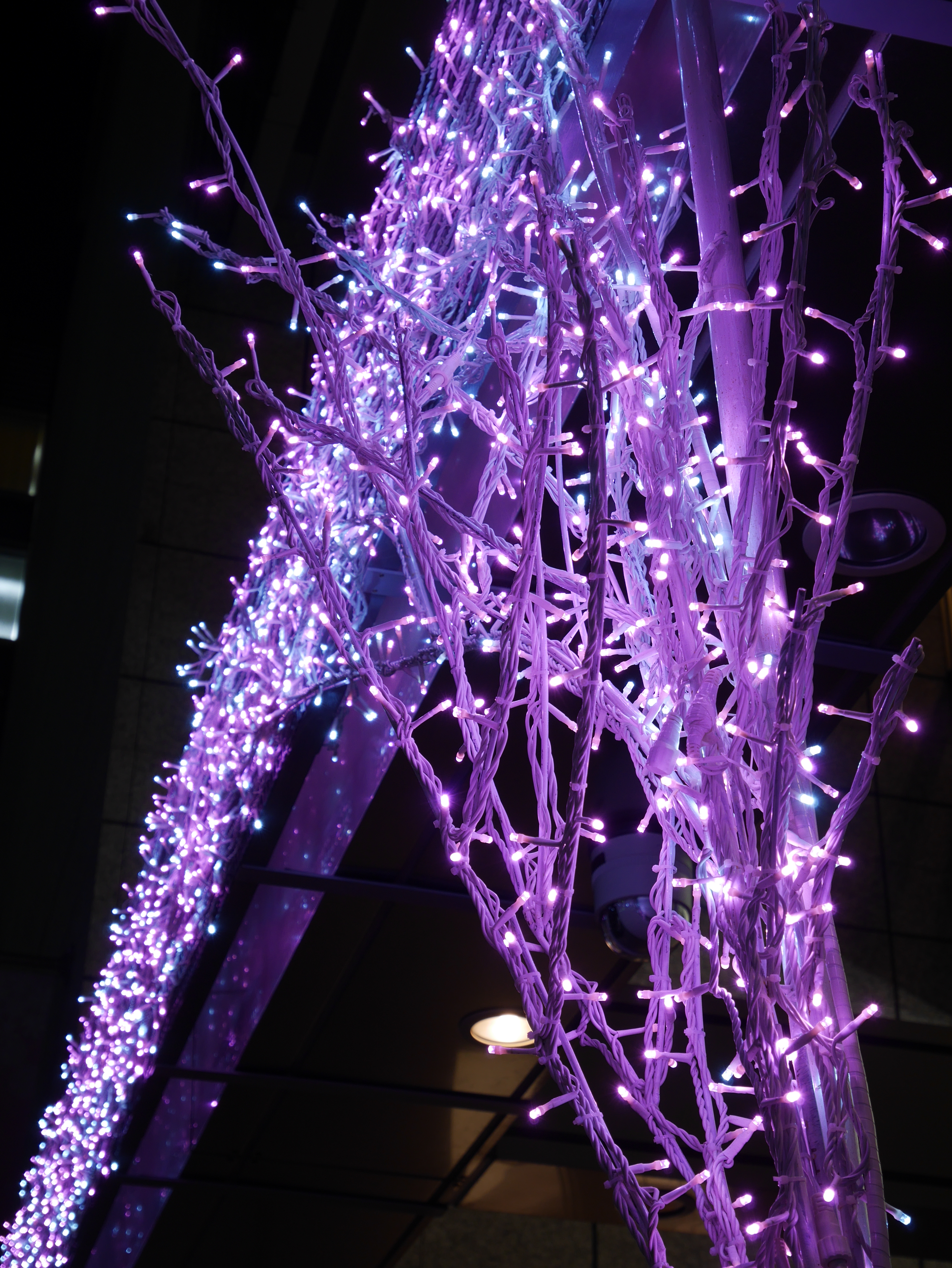 DMC-GM1 / LUMIX G VARIO 12-32mm F3.5-5.6 ASPH. MEGA O.I.S / 3,448×4,592 / ISO200 / F5.6 / 1/25秒 / 32mm（64mm相当）