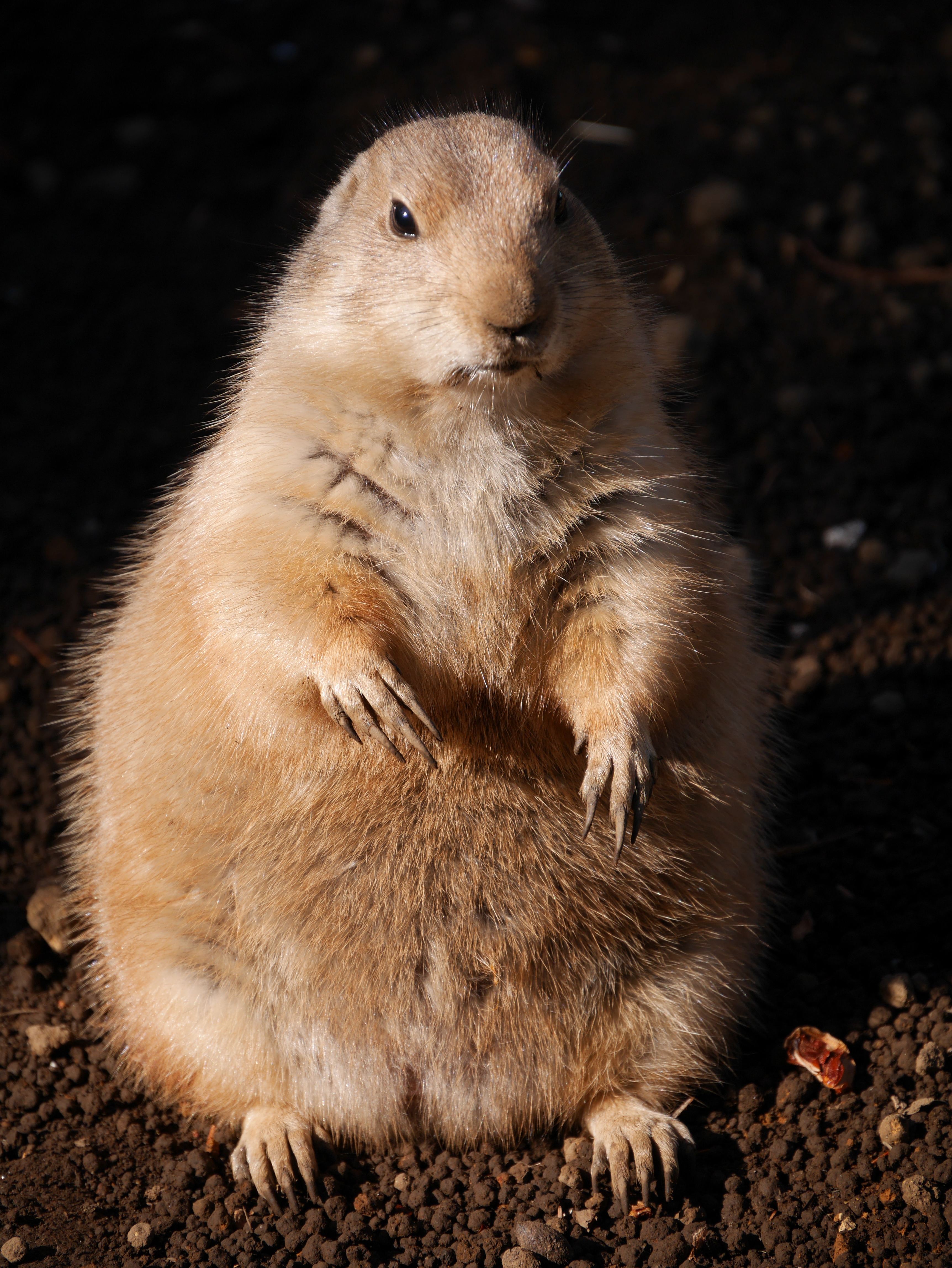 DMC-GM1 / LUMIX G VARIO 14-140mm F3.5-5.6 ASPH. POWER O.I.S. / 3,448×4,592 / ISO200 / F5.6 / 1/640秒 / 140mm（280mm相当）