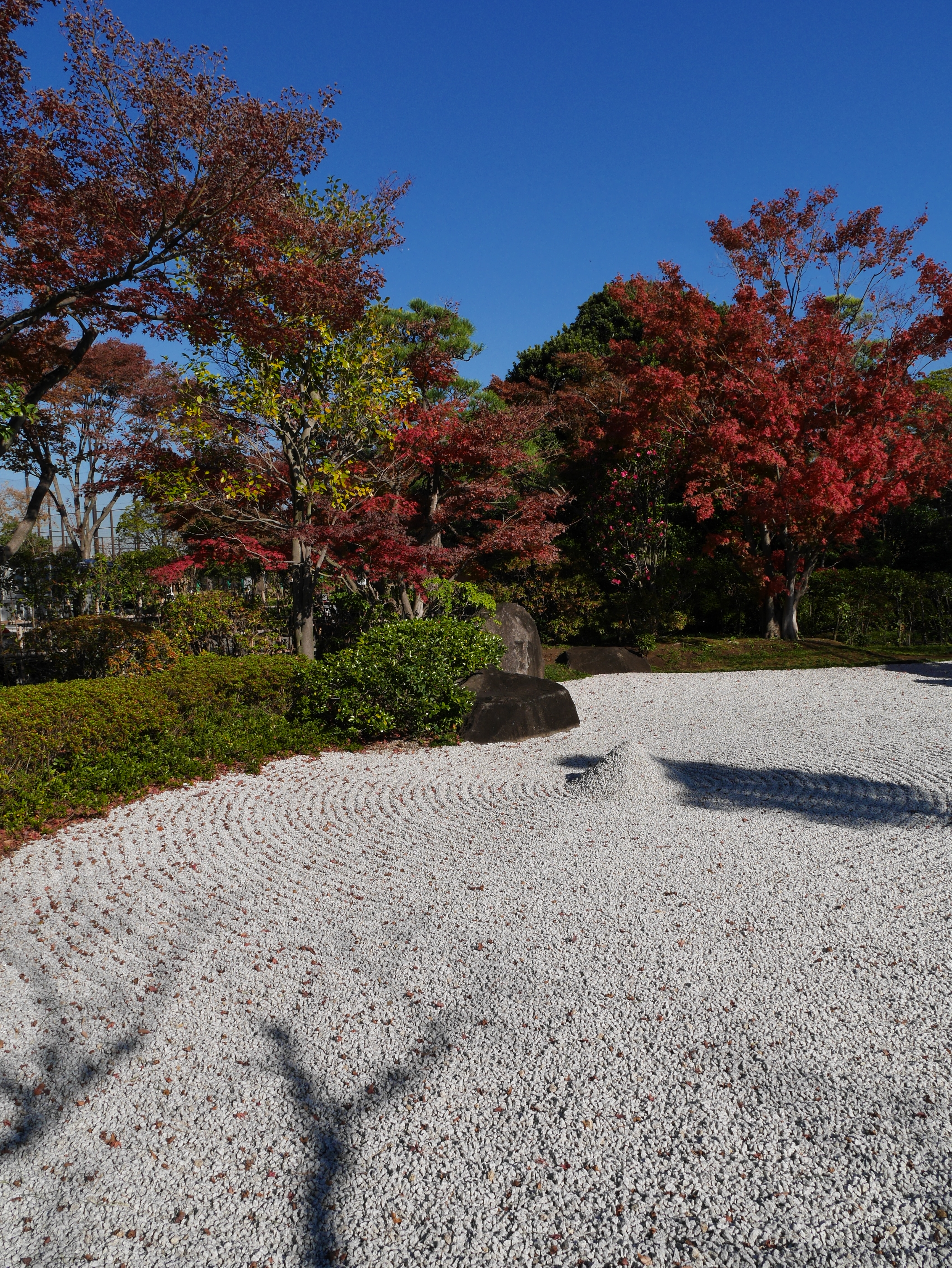 DMC-GM1 / LUMIX G X VARIO 12-35mm F2.8 ASPH. POWER O.I.S. / 3,448×4,592 / ISO200 / F10 / 1/500秒 / 12mm（24mm相当）