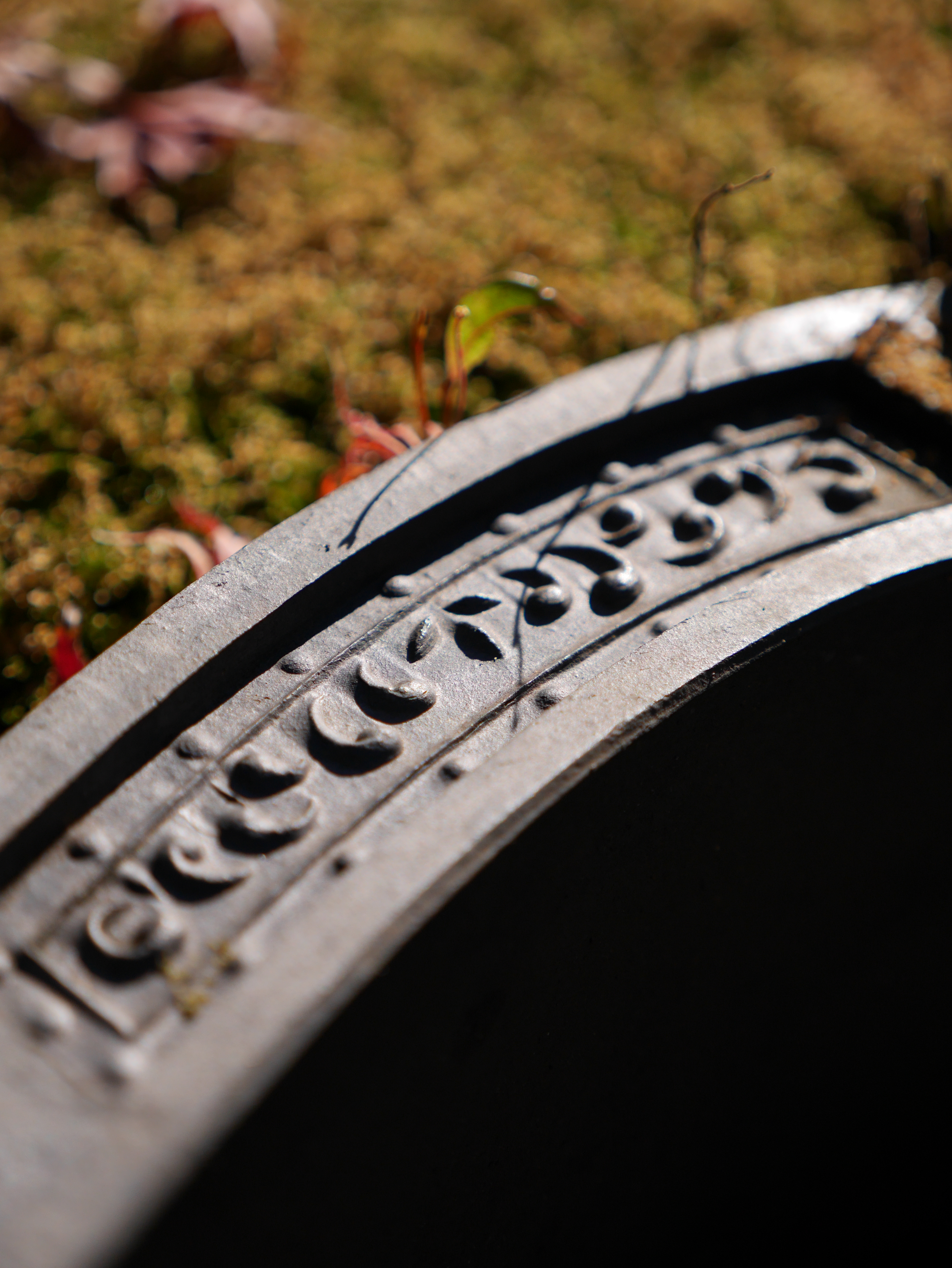 DMC-GM1 / LUMIX G X VARIO 12-35mm F2.8 ASPH. POWER O.I.S. / 3,448×4,592 / ISO200 / F2.8 / 1/2,500秒 / 35mm（70mm相当）