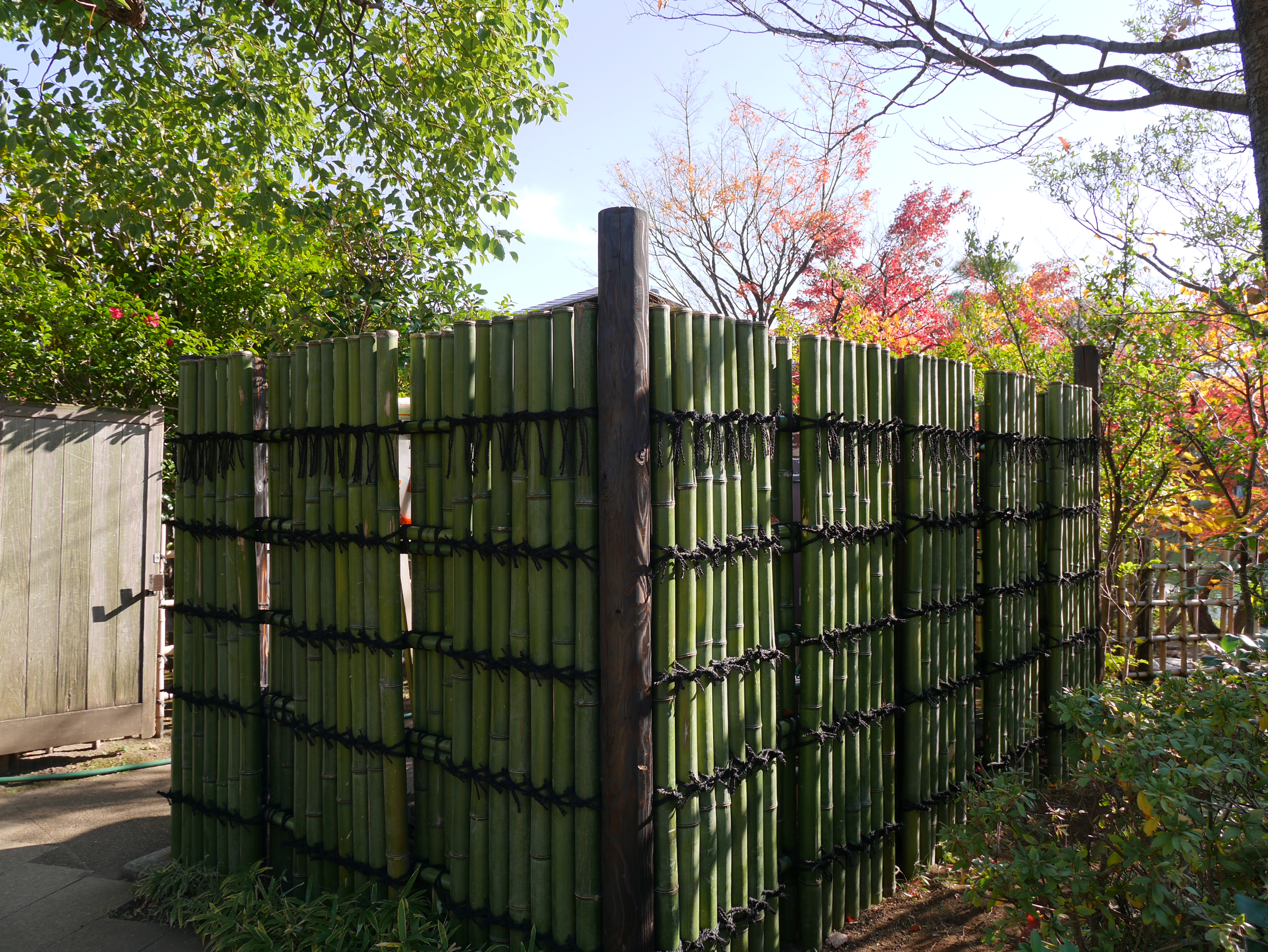 DMC-GM1 / LUMIX G X VARIO 12-35mm F2.8 ASPH. POWER O.I.S. / 4,592×3,448 / ISO200 / F4 / 1/250秒 / 12mm（24mm相当）