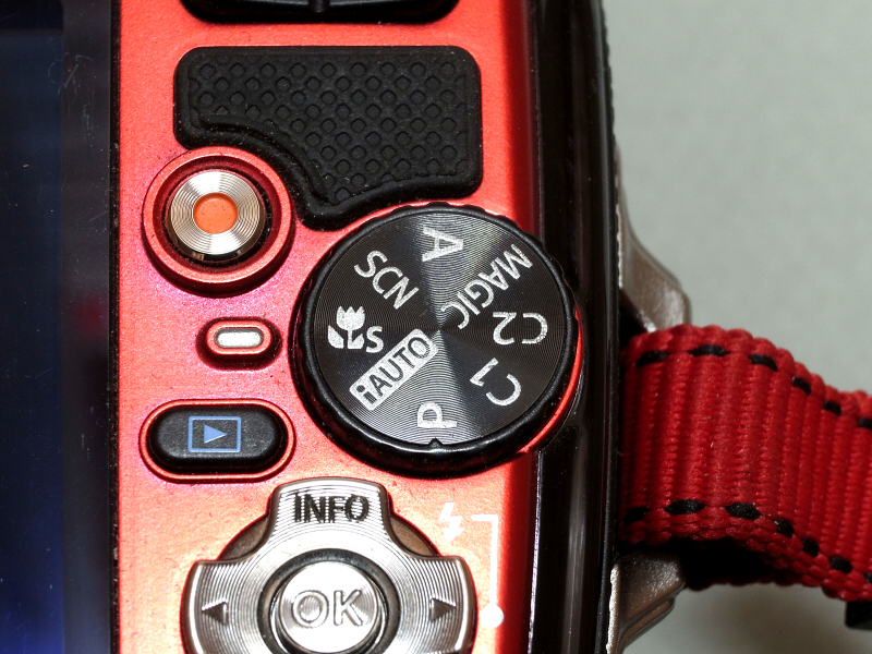 TG-2をスーパーマクロモードにするのは簡単で、モードセレクトダイヤルで選ぶだけだ。ズームはライカ判換算30-100mm相当のレンジに限定されるが、そのどこでも“1cmマクロ”が可能になる。