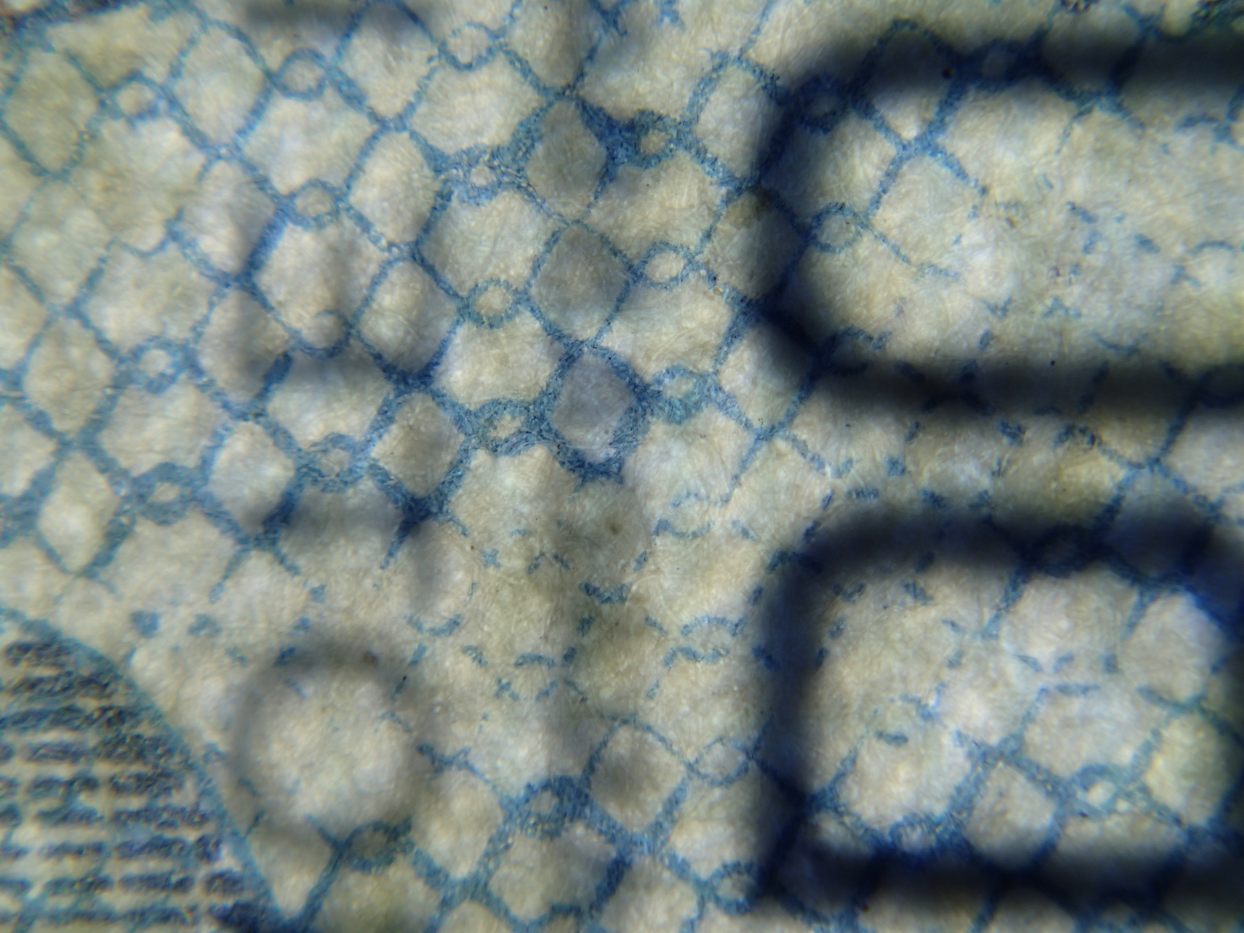 裏面の右上あたり。金網のような模様は、実はもみの木のイラストの一部で、その裏に反転したアルファベットが透けている。日本のお札に比べ印刷は荒いが、独特の色使いはなかなかきれいで魅力的だ。