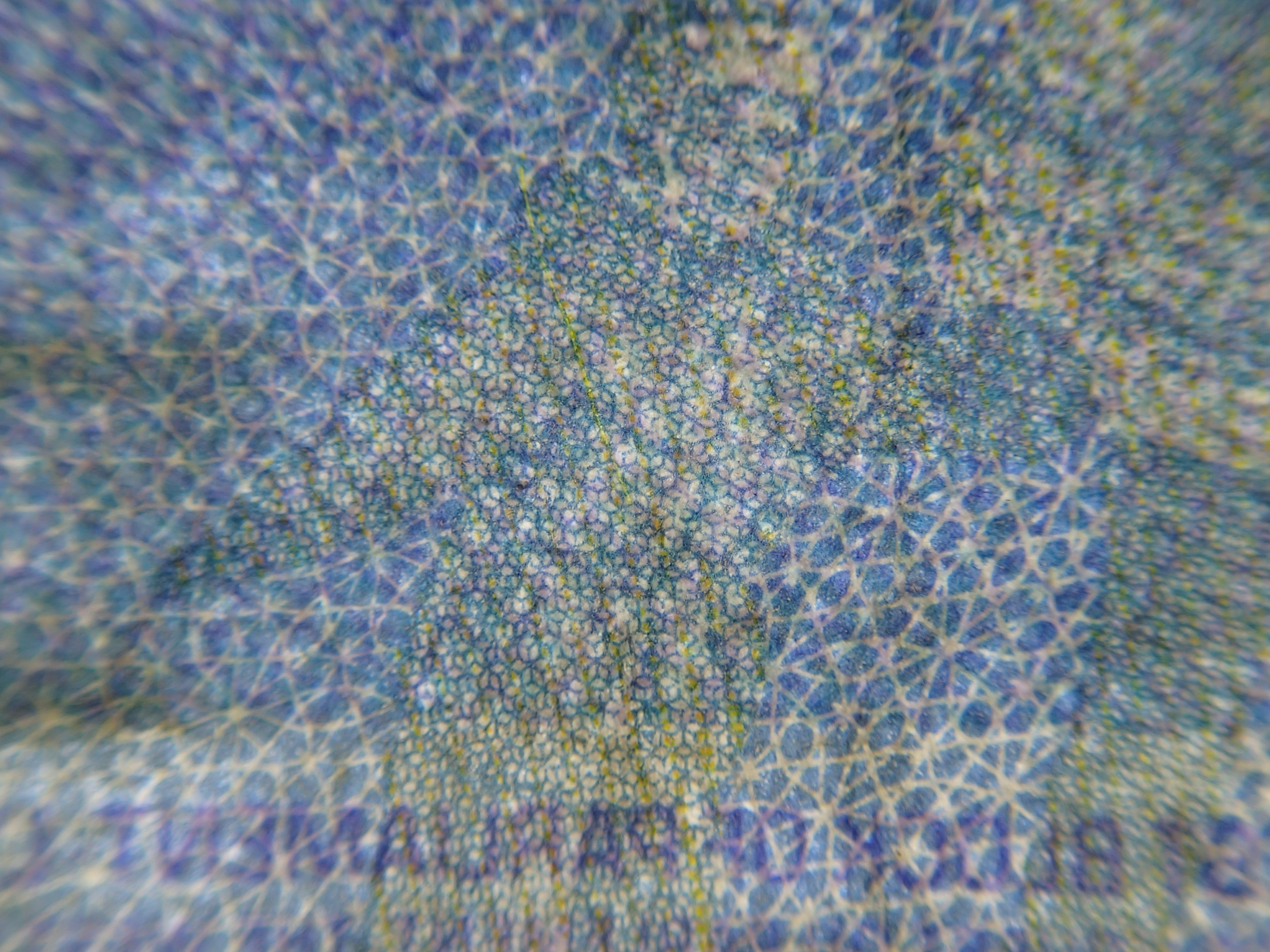 裏面右上のスケートをする子供の姿。拡大すると鼻か雪の結晶のような編み目模様で描かれていて、色彩も美しい。